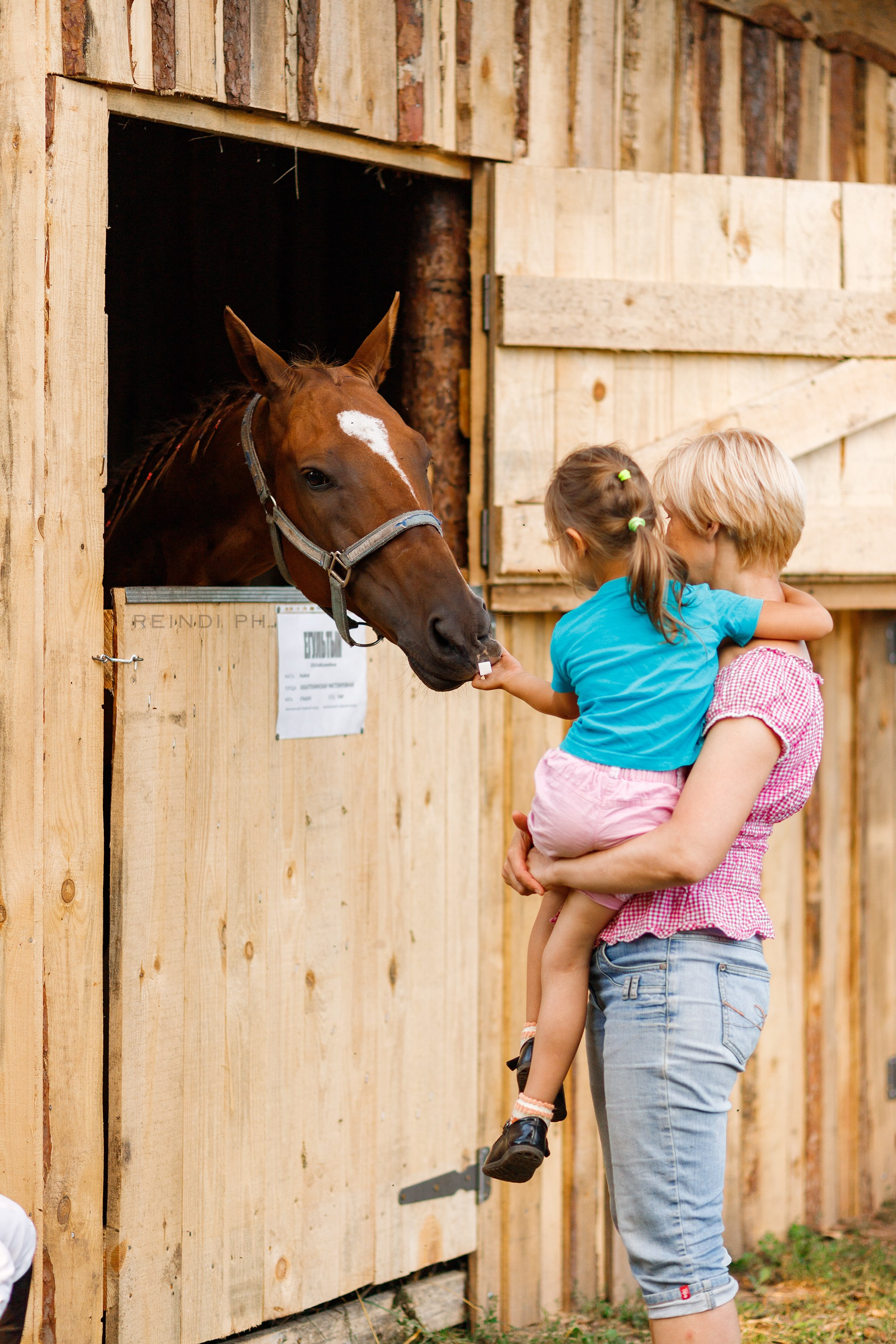 Horse show in the village. Kaja | fotograf we Wrocławiu | ludzie i psy