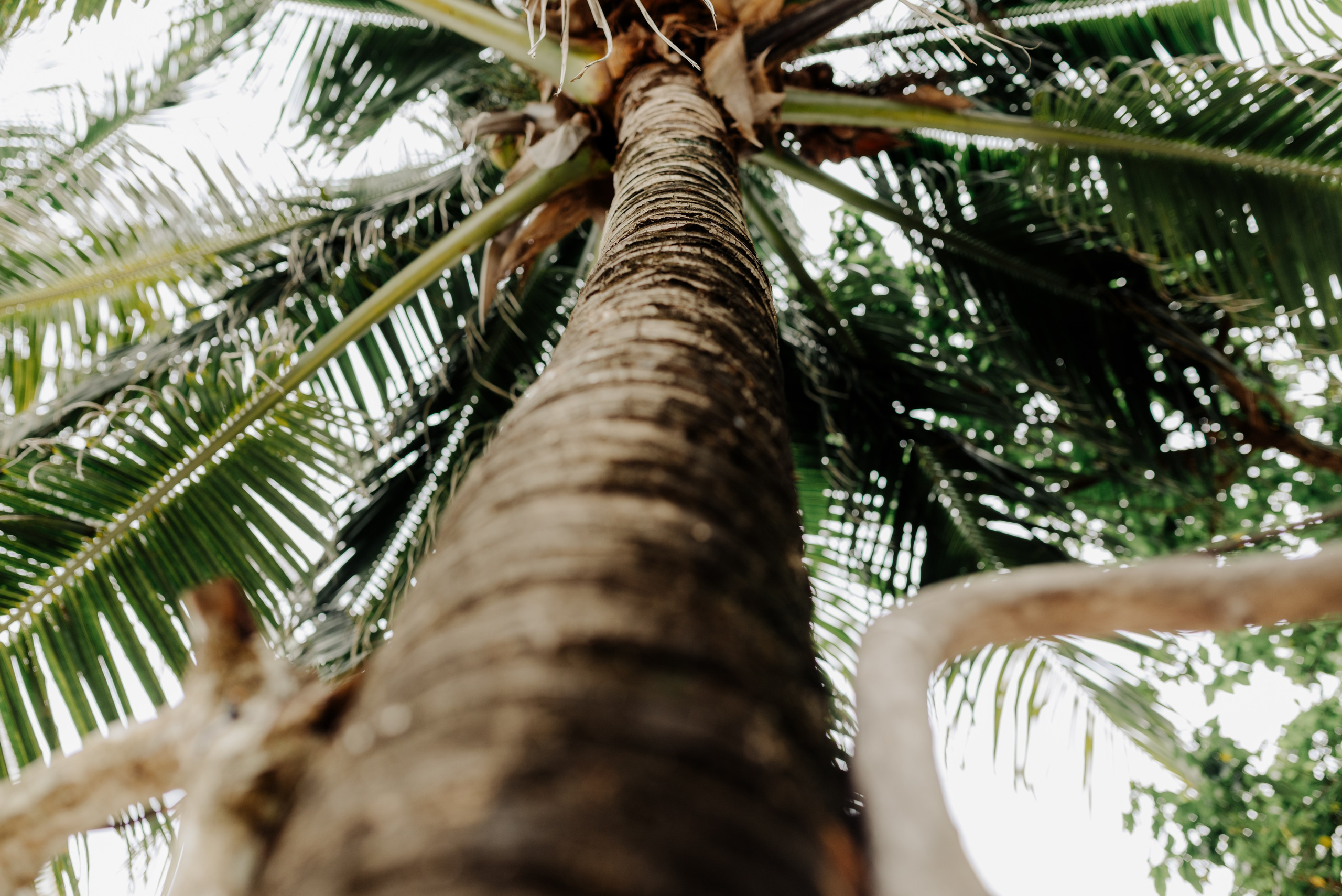 Lorena&David. Wedding photography in Cartagena by Morada Photography