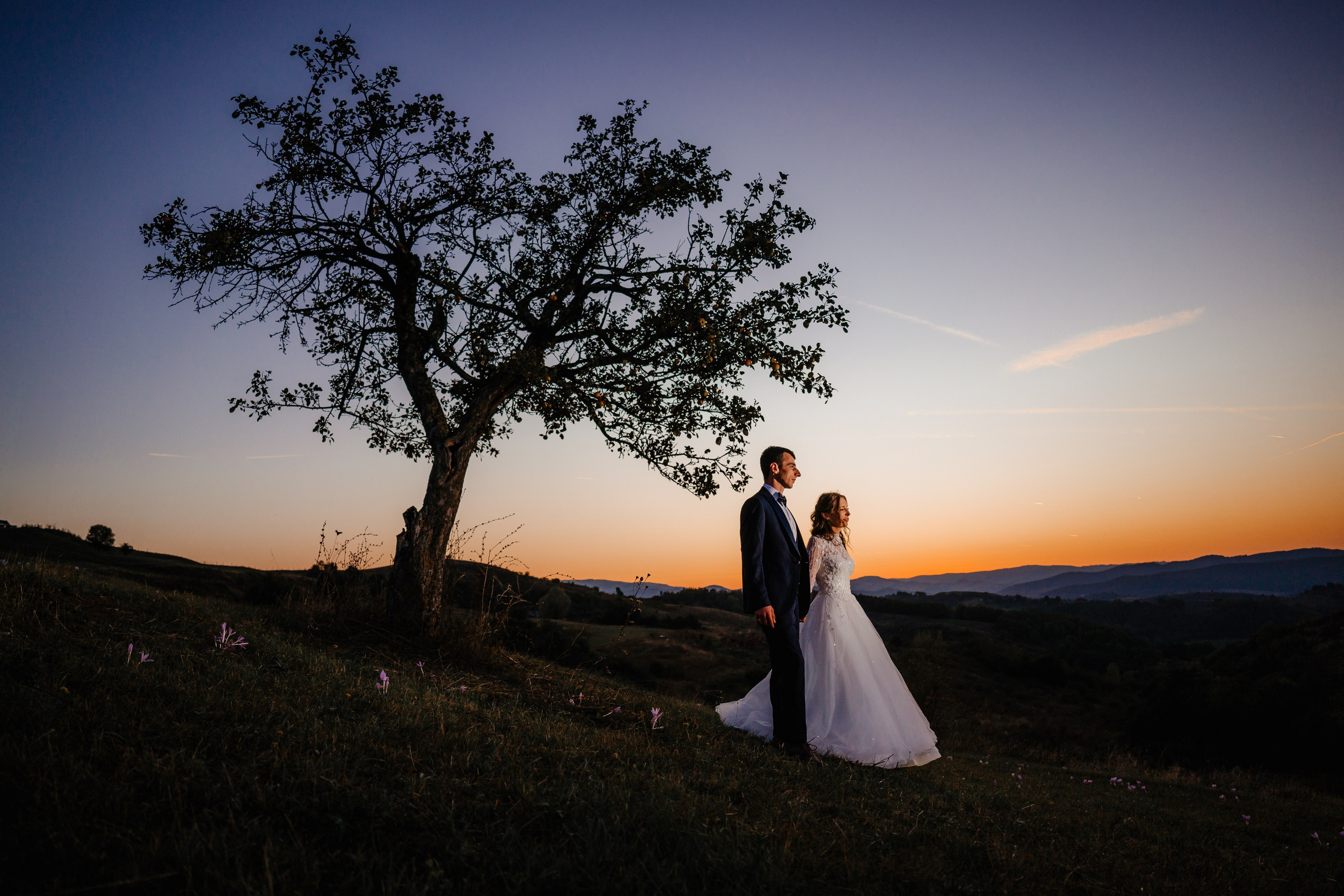 Prima pagina. Foto-Video Nunta Iasi, Suceava, Bucuresti / Disponibilitate 2025 — 2026 — 2027