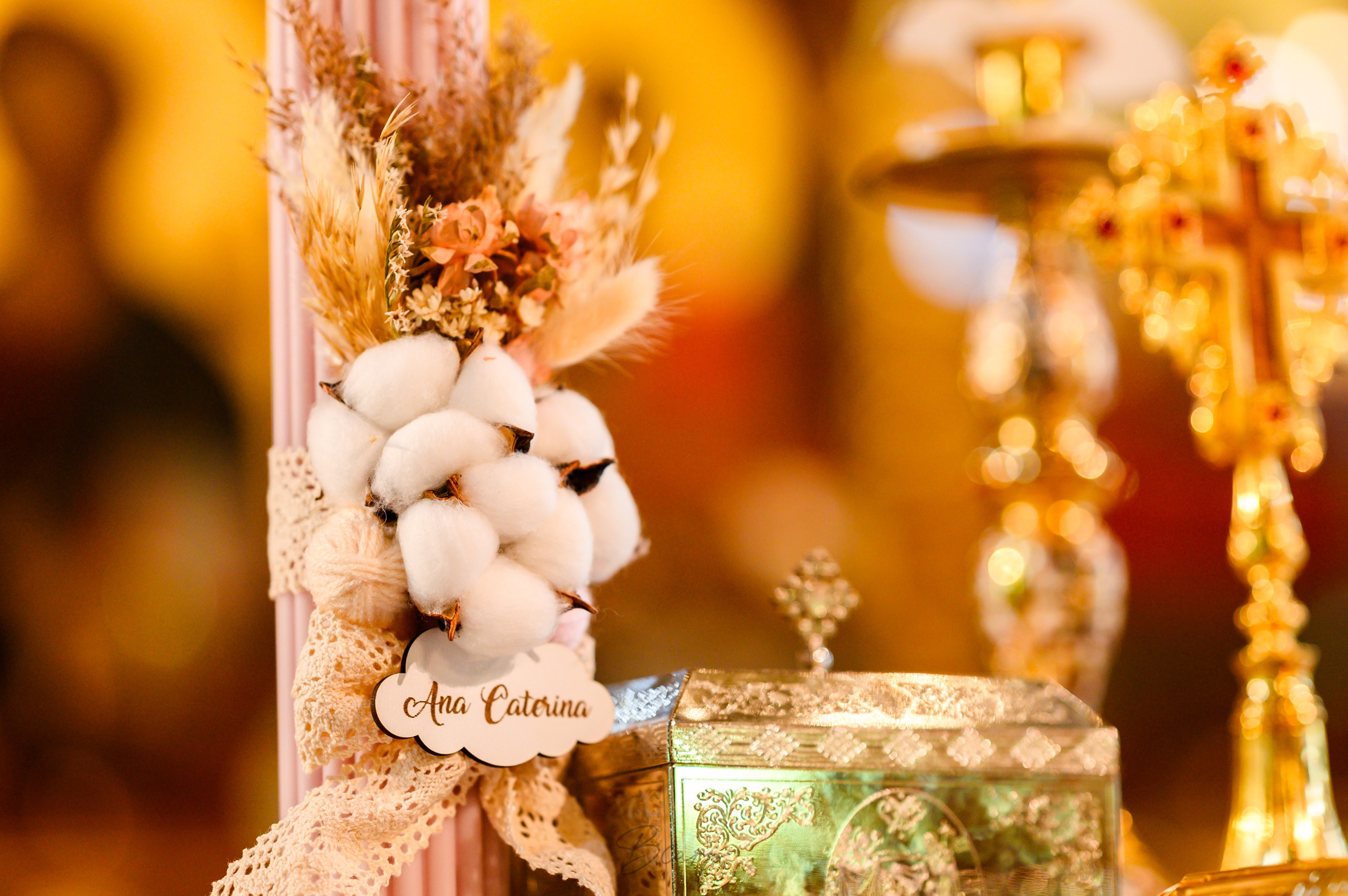 Ana Caterina. BCarp Productions