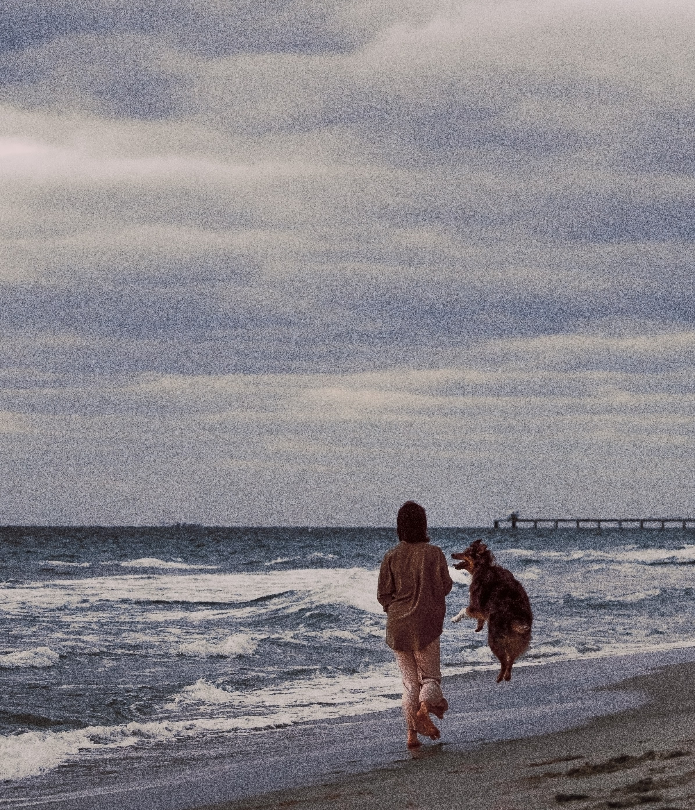 Lou & Eliya. Pet Photographer Viktoriya Aleshenko
