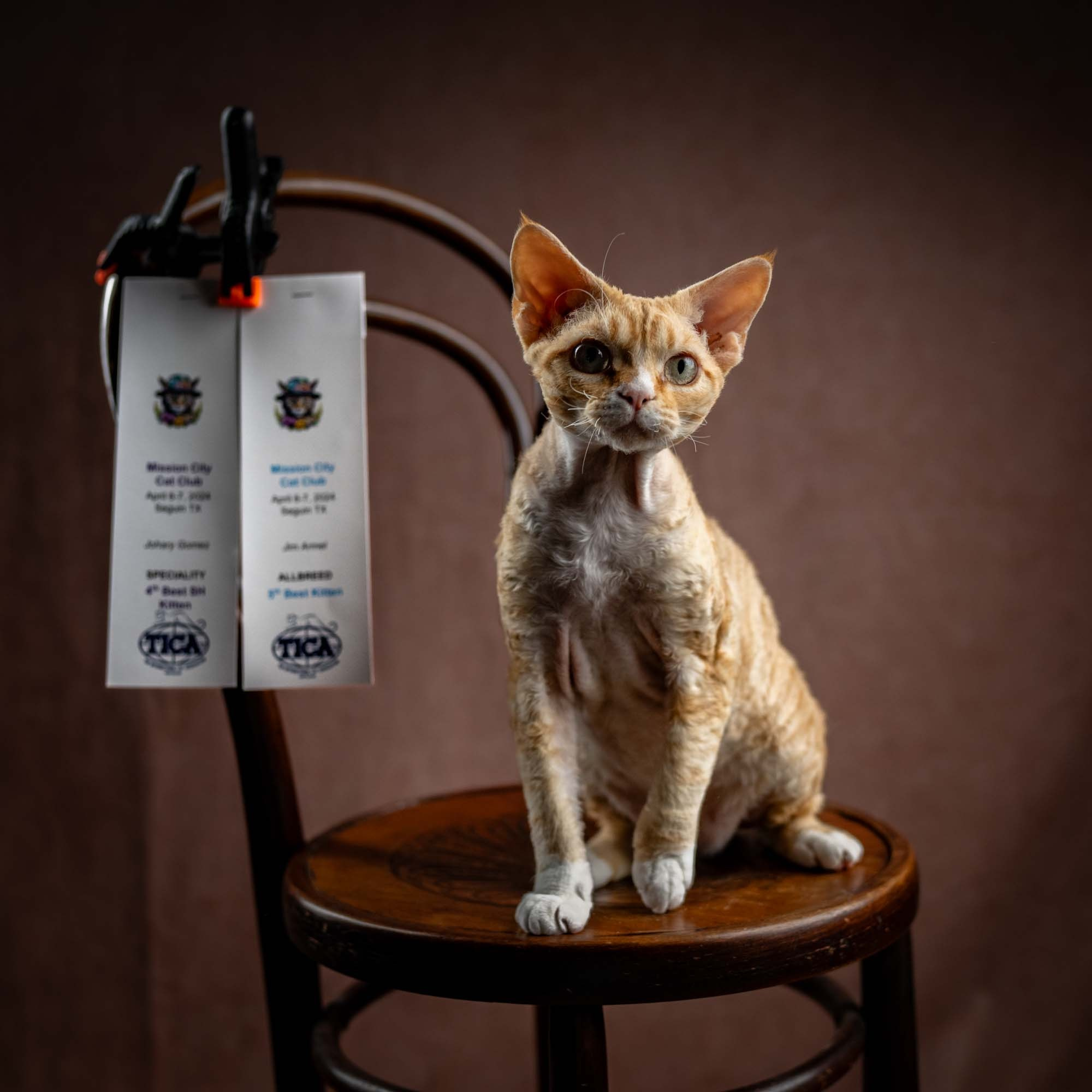 Choux. Photographer Irina Kozhemyakina. Houston