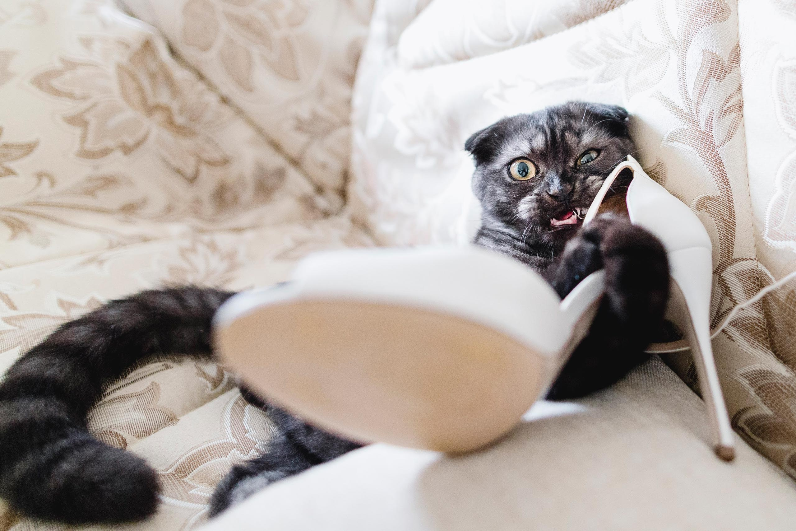 Wedding Photography in Georgia | Best Wedding Locations in Georgia | Sergio Russo