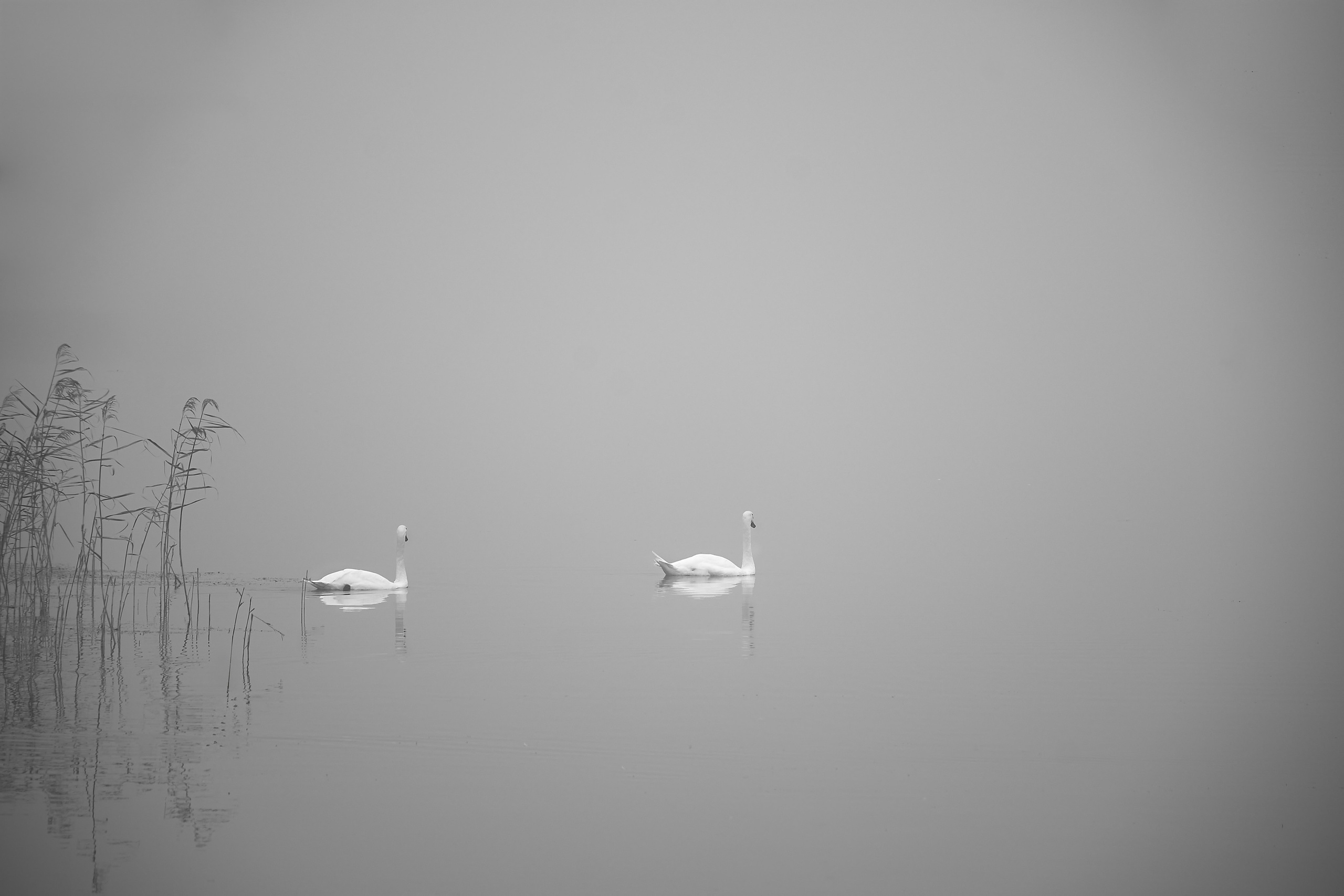 B/W STORIES. Art photographer in Tallinn Aleksandr Sokolnikov