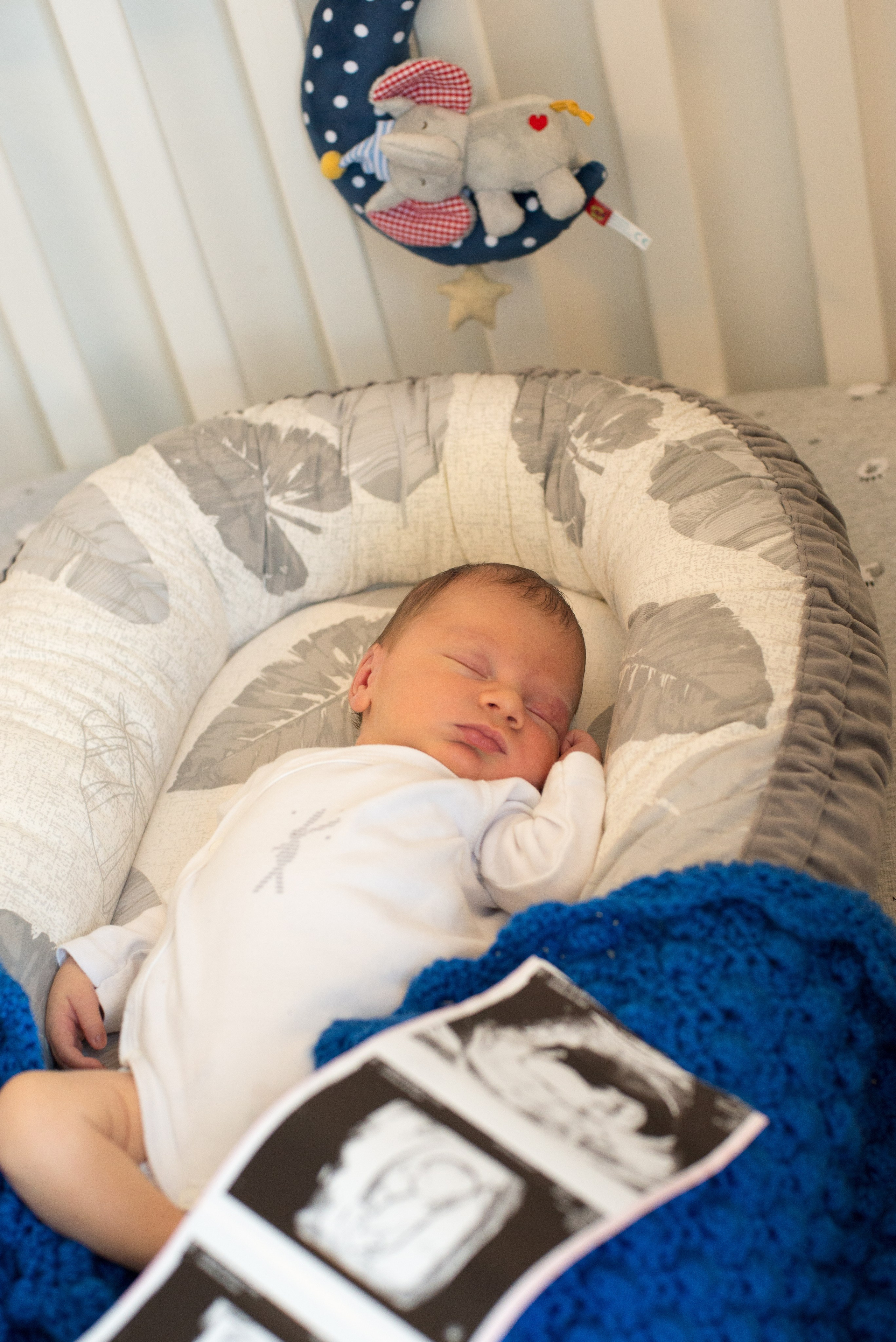 Семья Ильи и Мелани. Визуальный брендинг