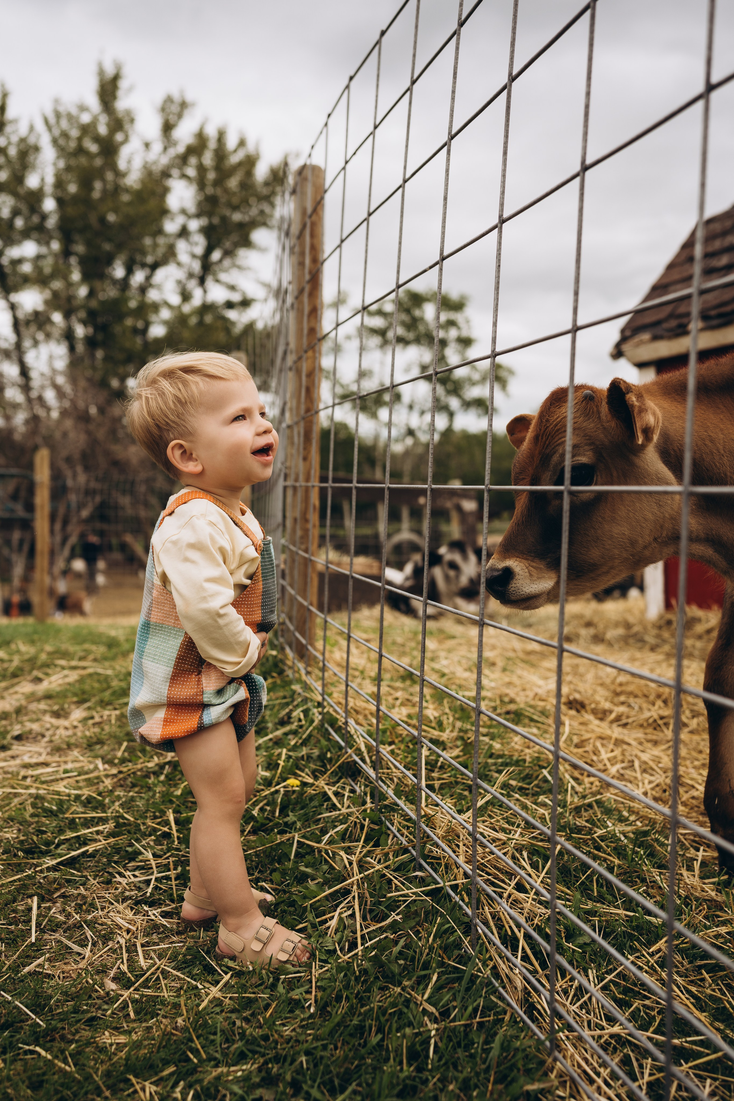 Lev. Calgary Wedding & Lifestyle Photographer — Yevhen Polishchuk