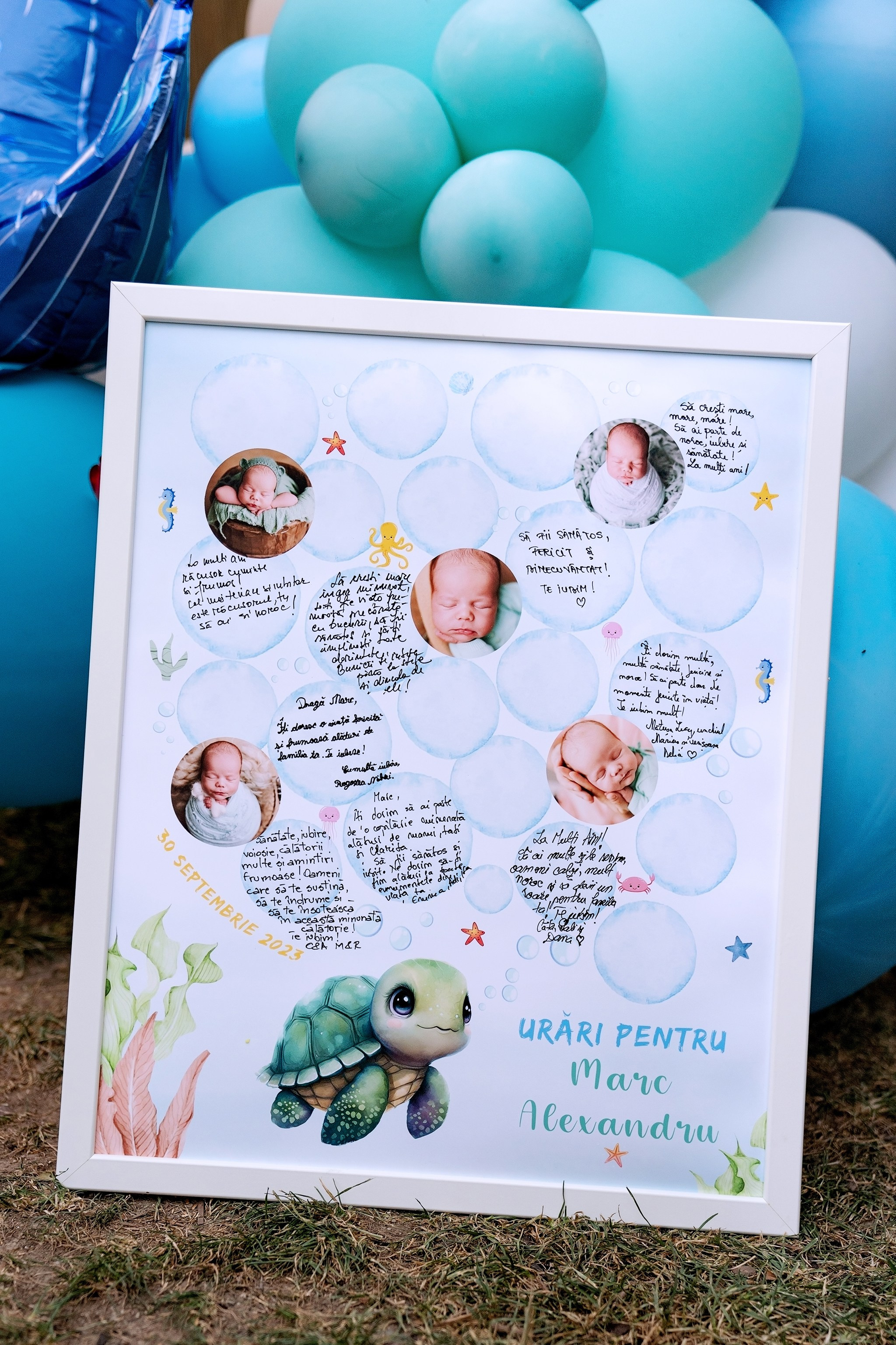 Marc Alexandru. Fotograf evenimente. Fotograf nunta. Fotograf Botez. Mihaela Savu