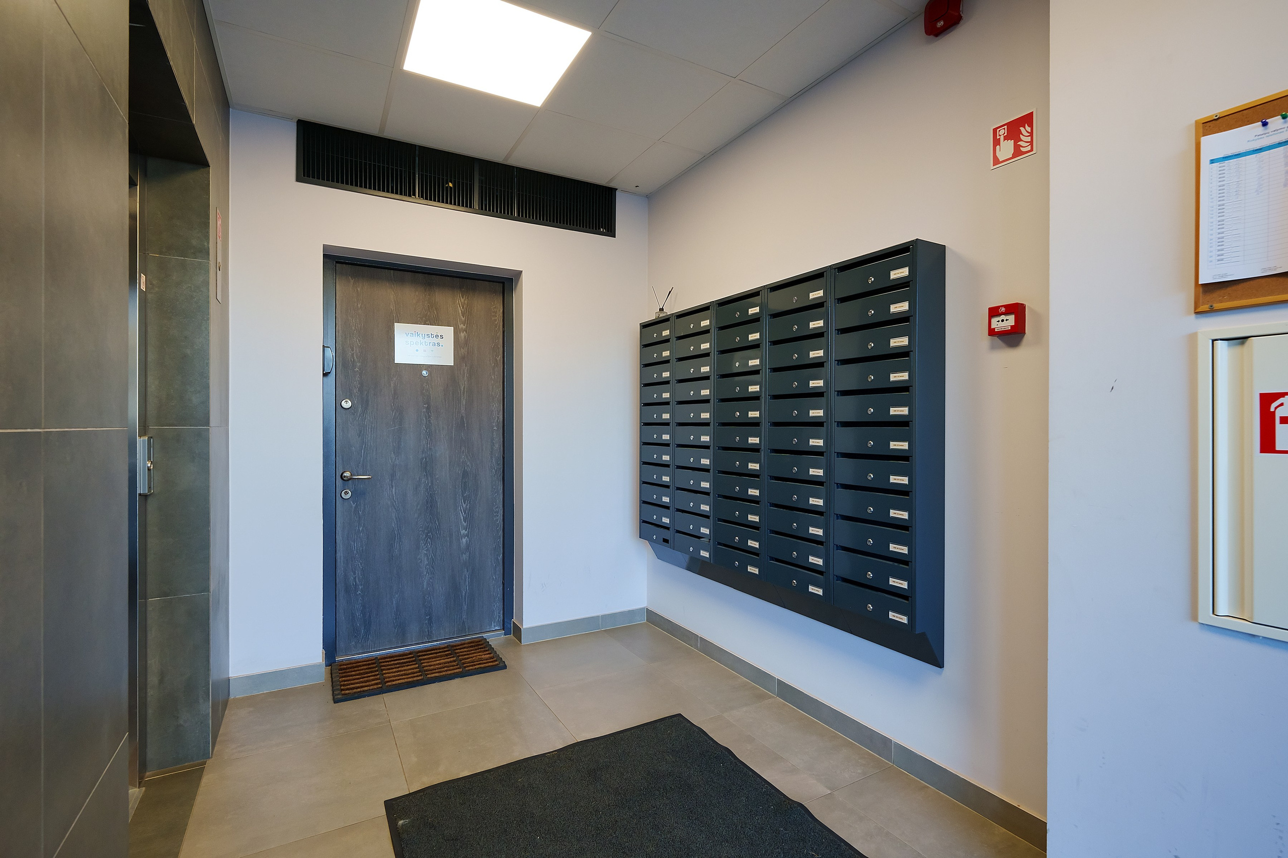 Viršuliškių g. 38B. Elina Sapiega fotografė Vilniuje