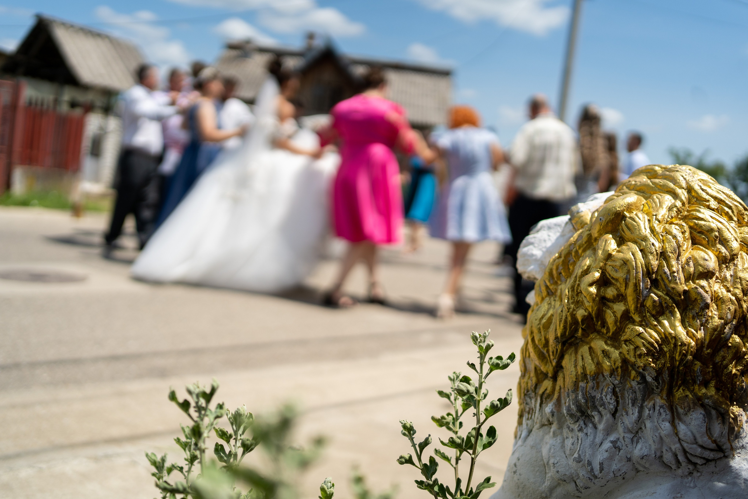 Adina & Remus. Fotograf evenimente, fotograf nunta, fotograf botez