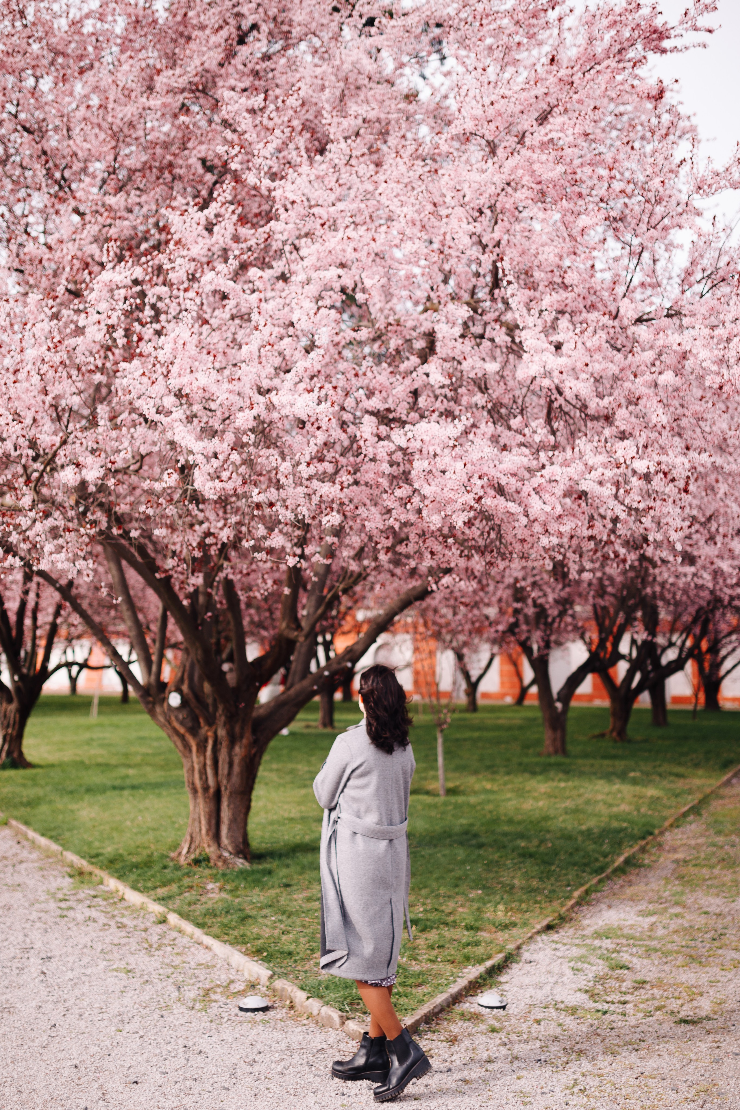 Aislu. Photographer in Prague for tourists