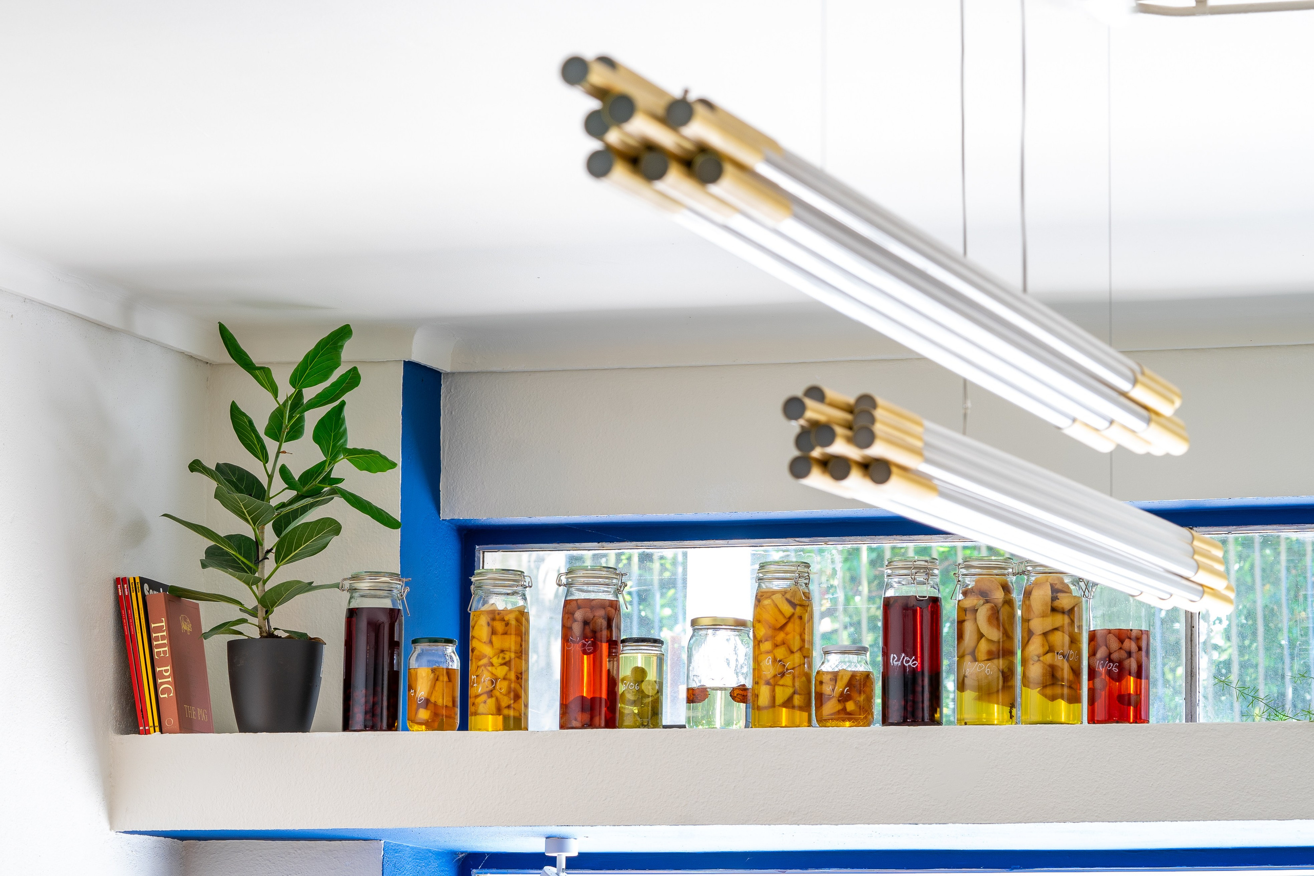 Borboleta. Мария Шер. Профессиональный фотограф в городе Порту, Португалия