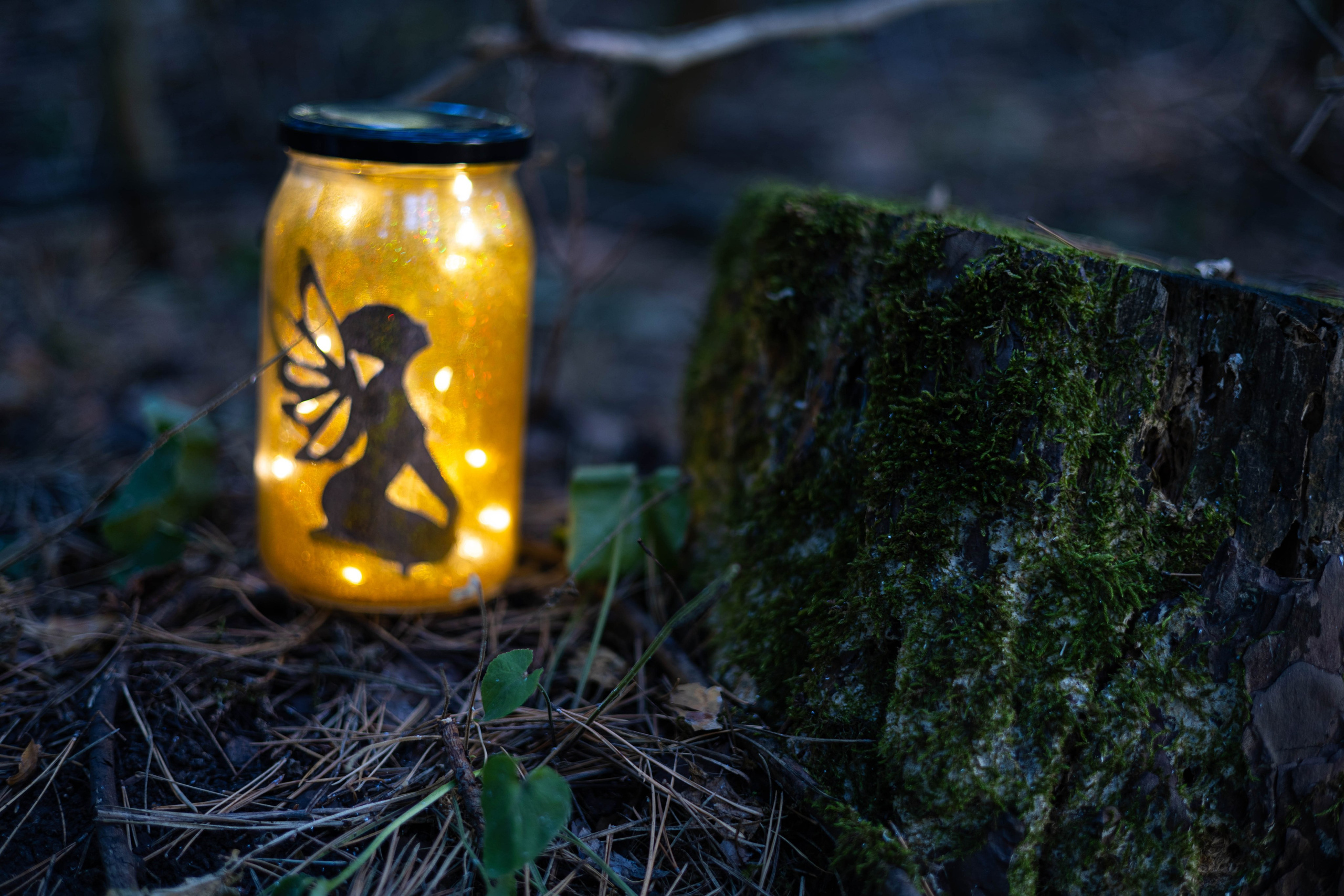 Сказочная детская фотосессия. Семейный фотограф Кишиневе, Молдова Врабий Ольга