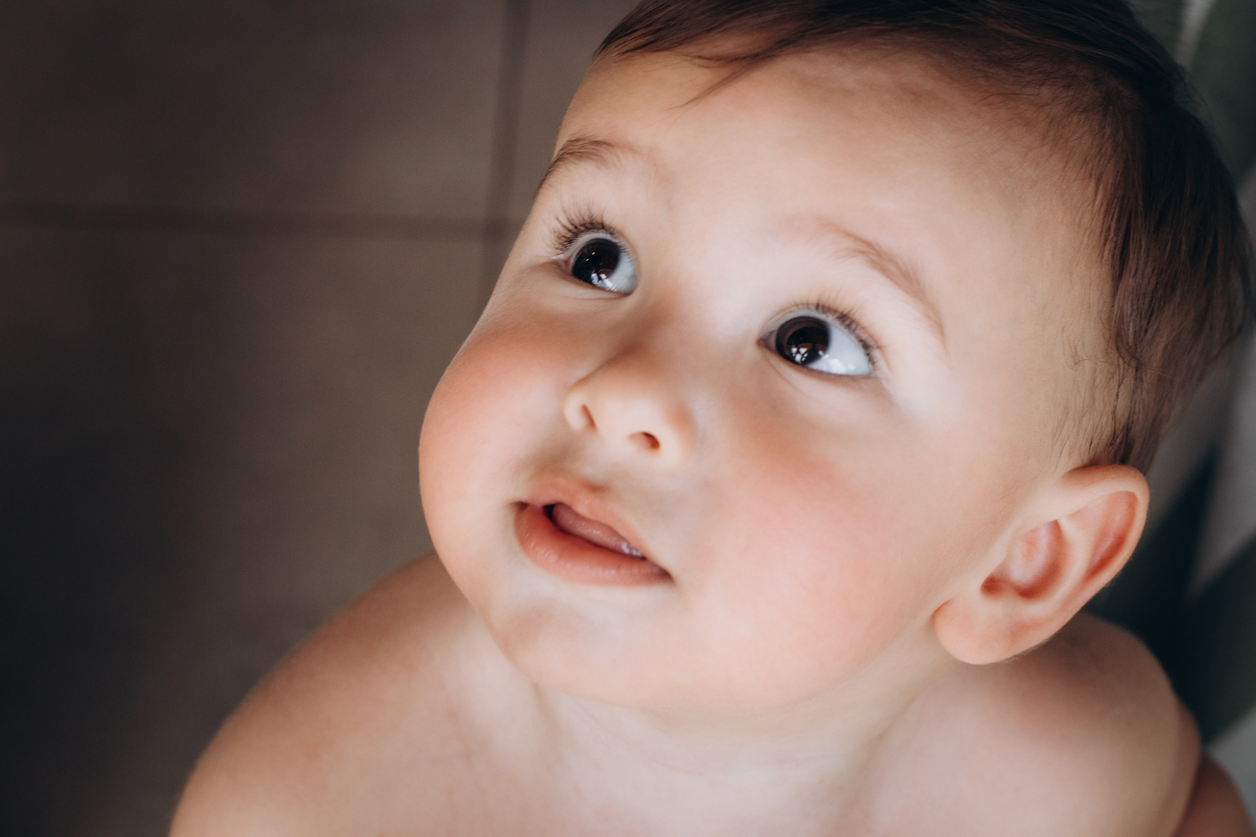 Matteo — Aniversário 1 ano. Principal