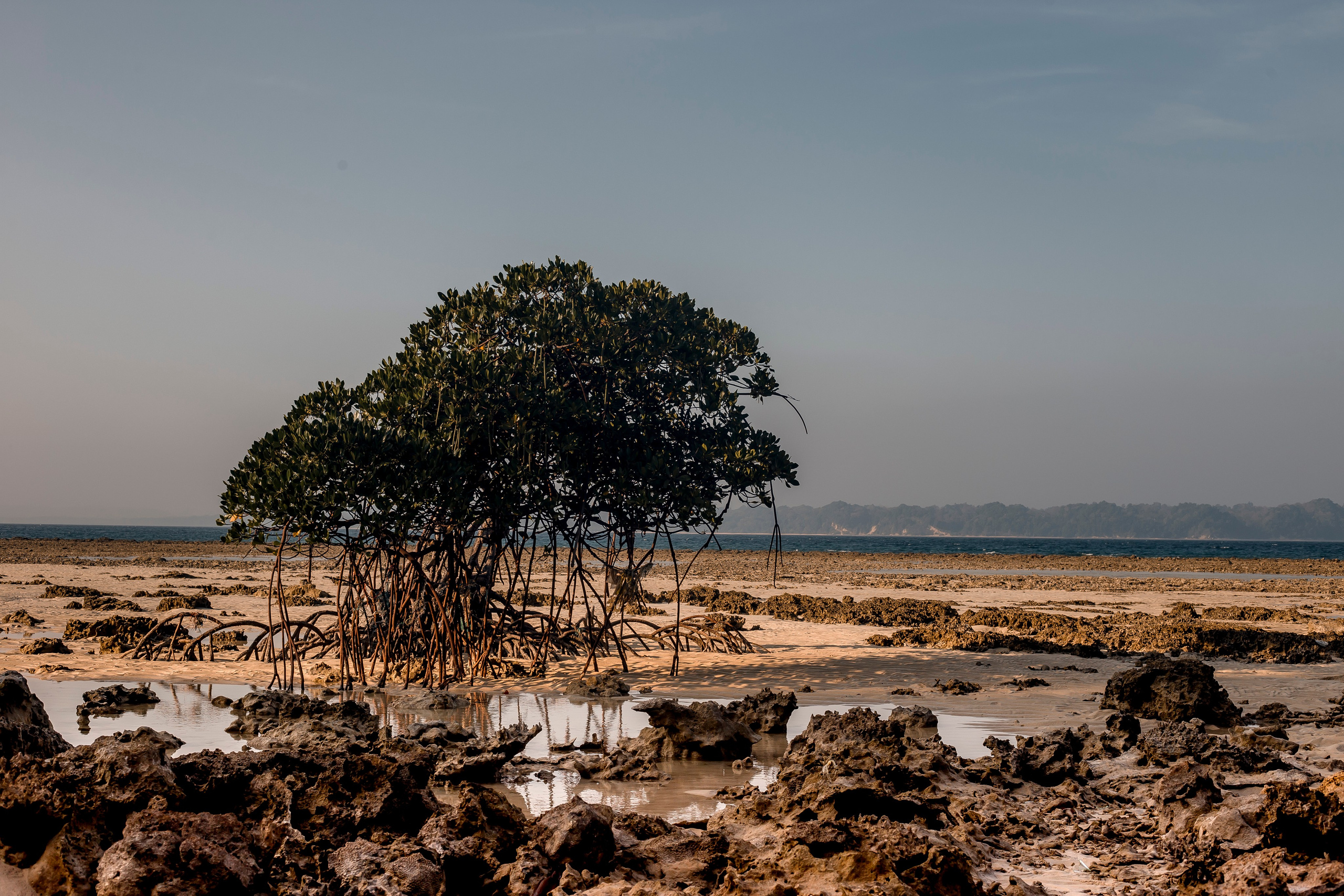 Andaman Islands, Part2. Art Photographer