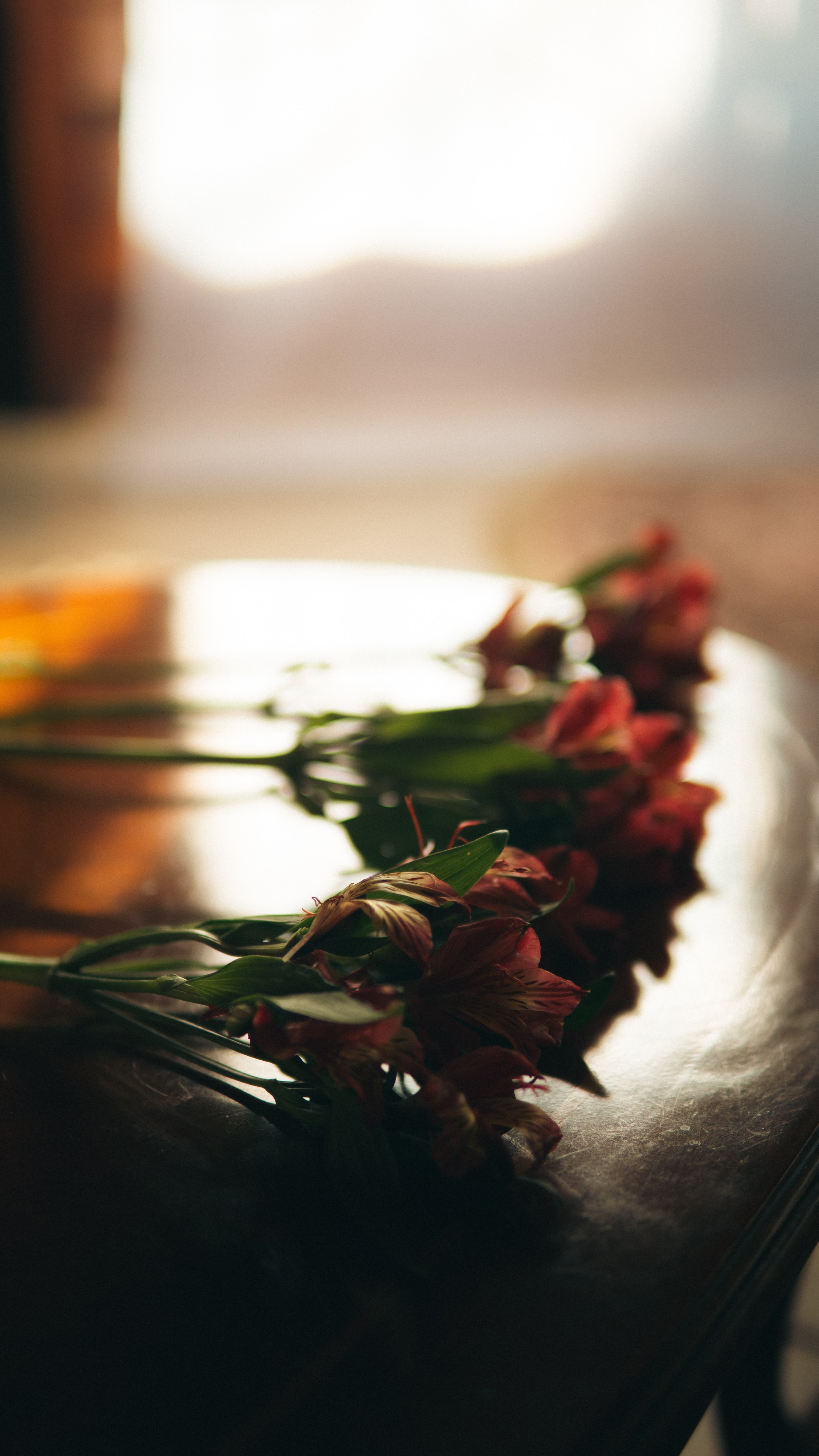 Família e Gestante. Reference Visuals