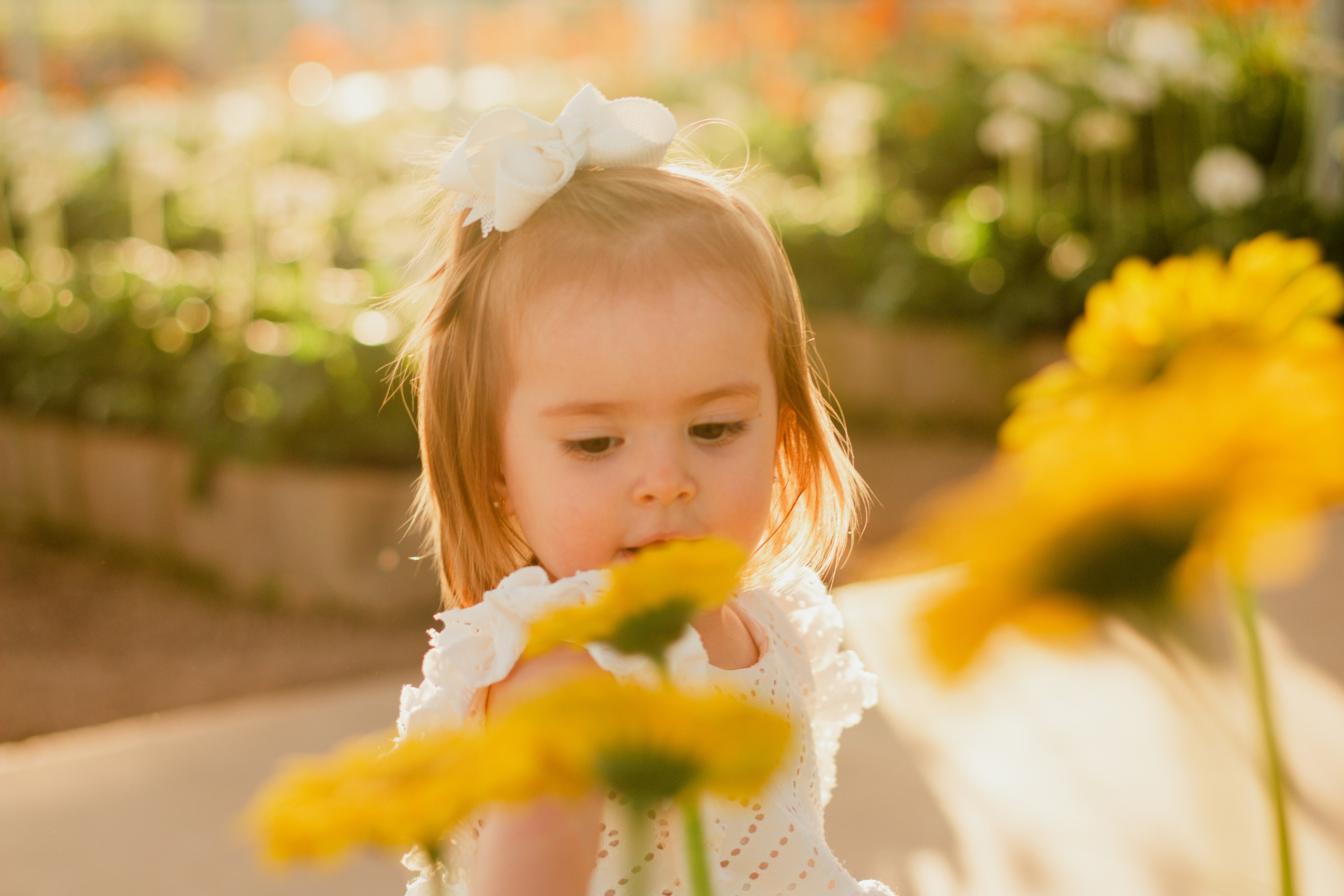 Fotografia de mãe e filha em campo de gérberas em Holambra, registrando um momento espontâneo e afetuoso ao entardecer.