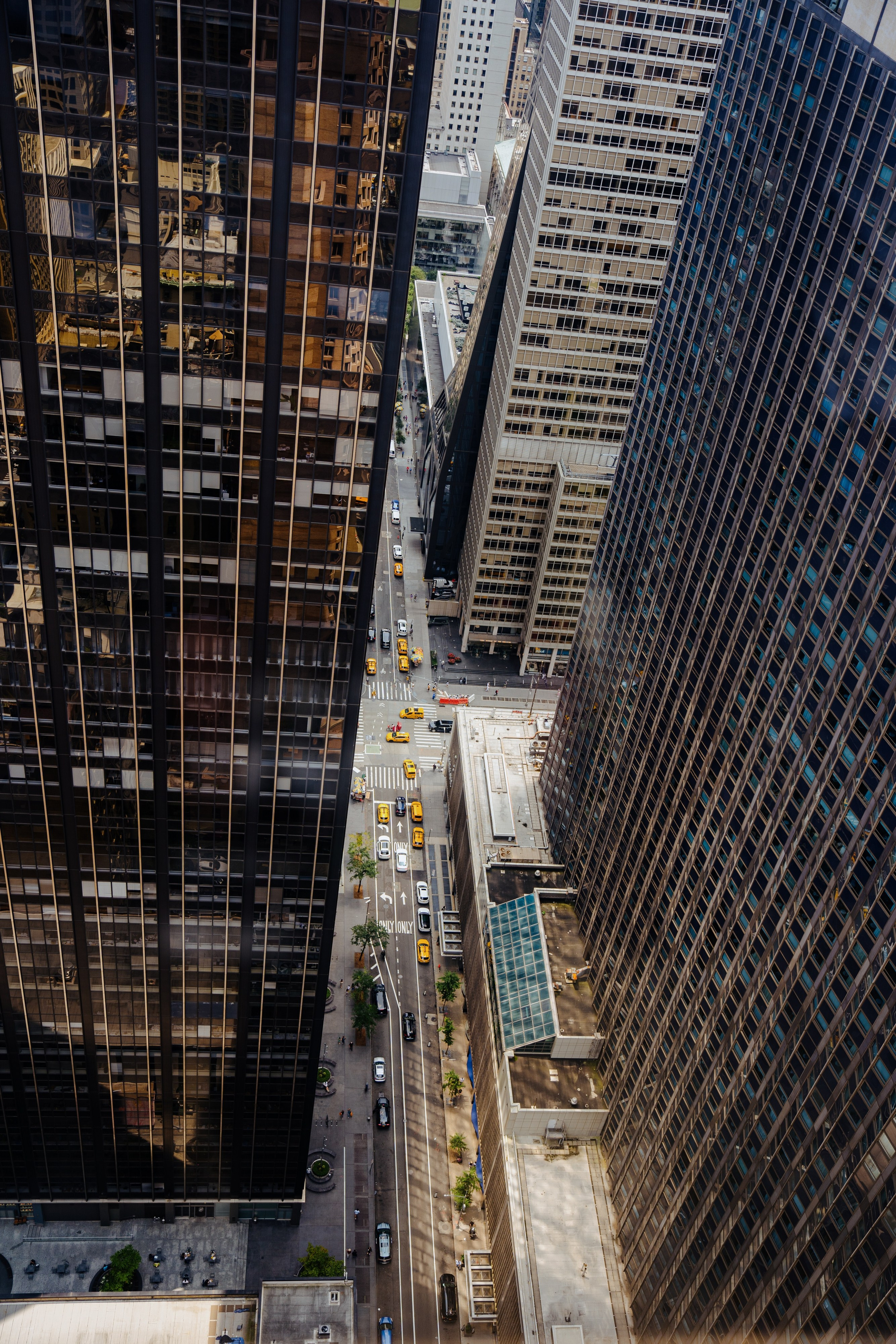 Kelsey & Scott. Wedding Photography & Videography San Francisco, Sacramento