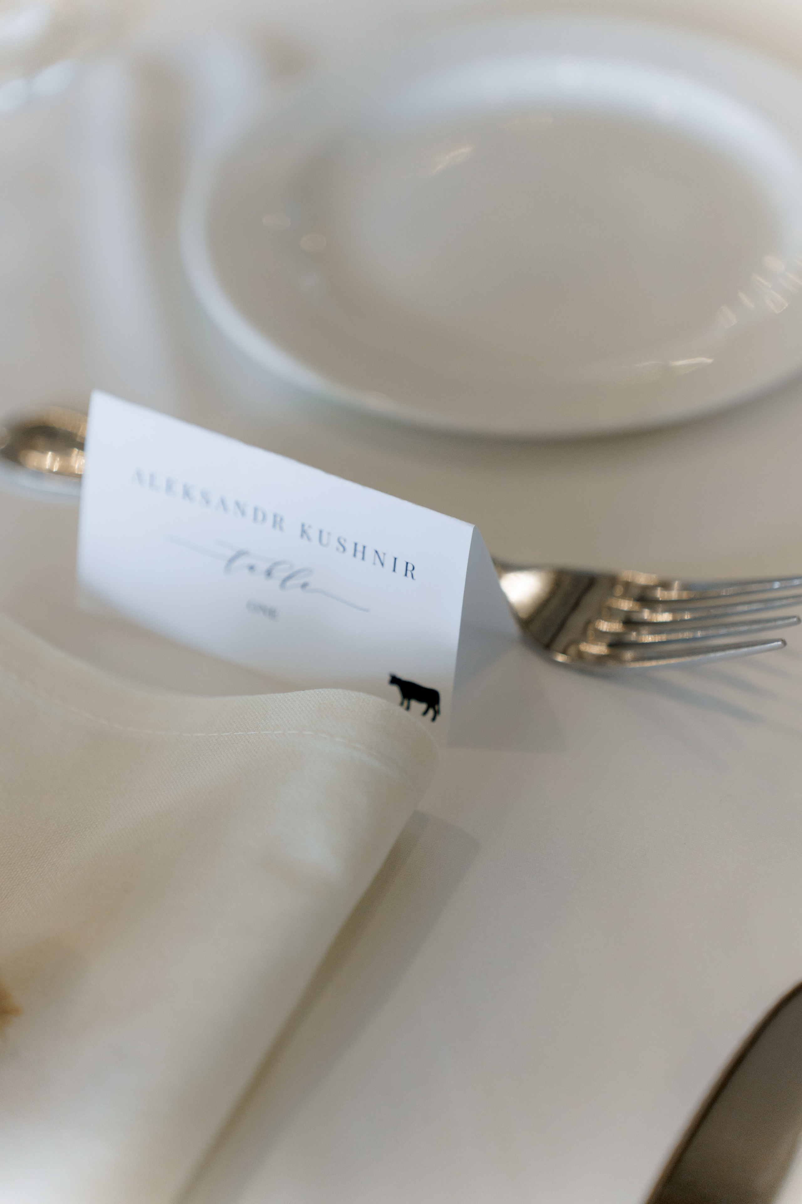 Alisa & Justin. Wedding Photography & Videography San Francisco, Sacramento