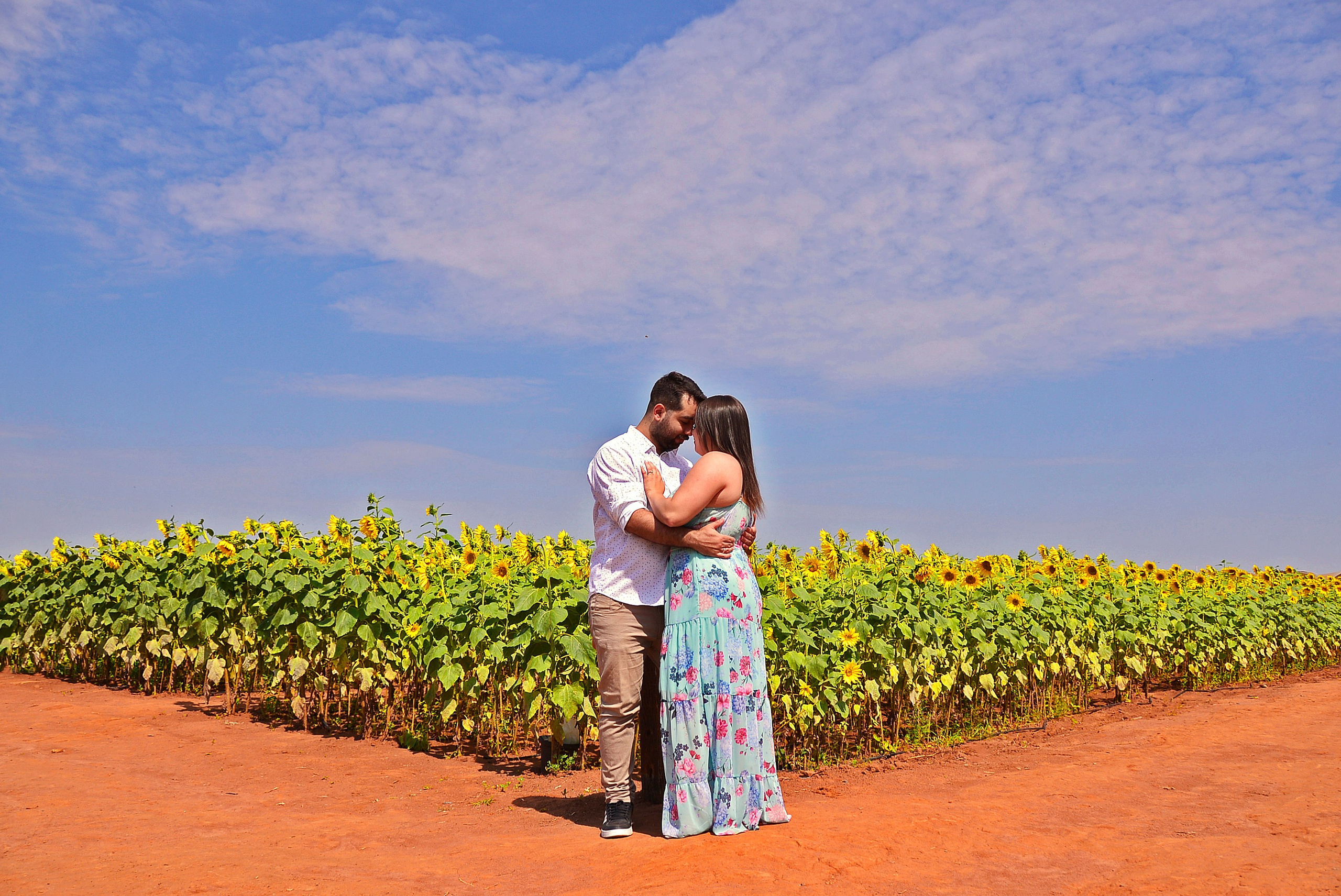 Vanessa & Victor — Campo Macena, Holambra. Produtora Bride