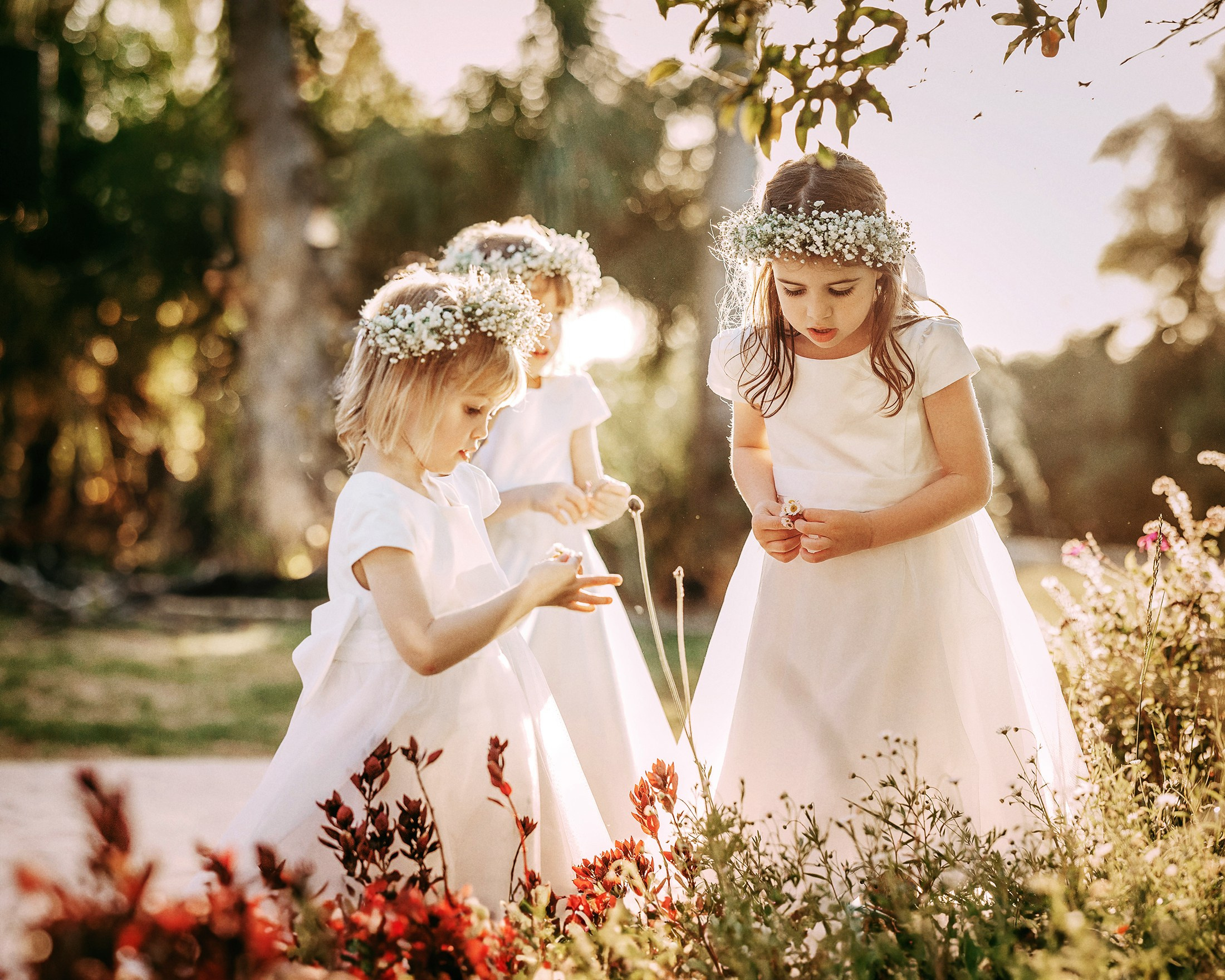 Wedding Moments and Details. George TLV — Professional photographer and retoucher in Israel