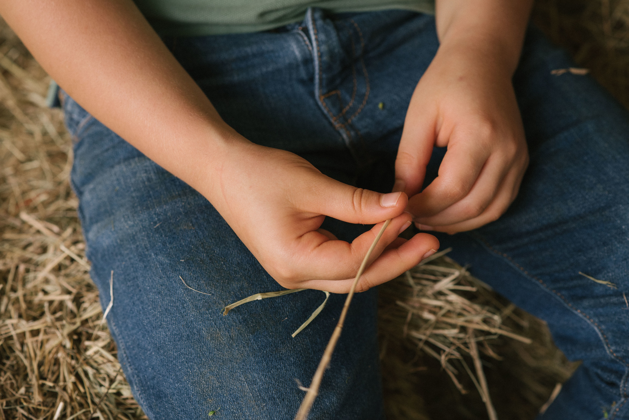 Hermosa familia en el campo. Fotógrafo familiar, retratos. Panamá, Chiriqui. Ruslán Rusakóv