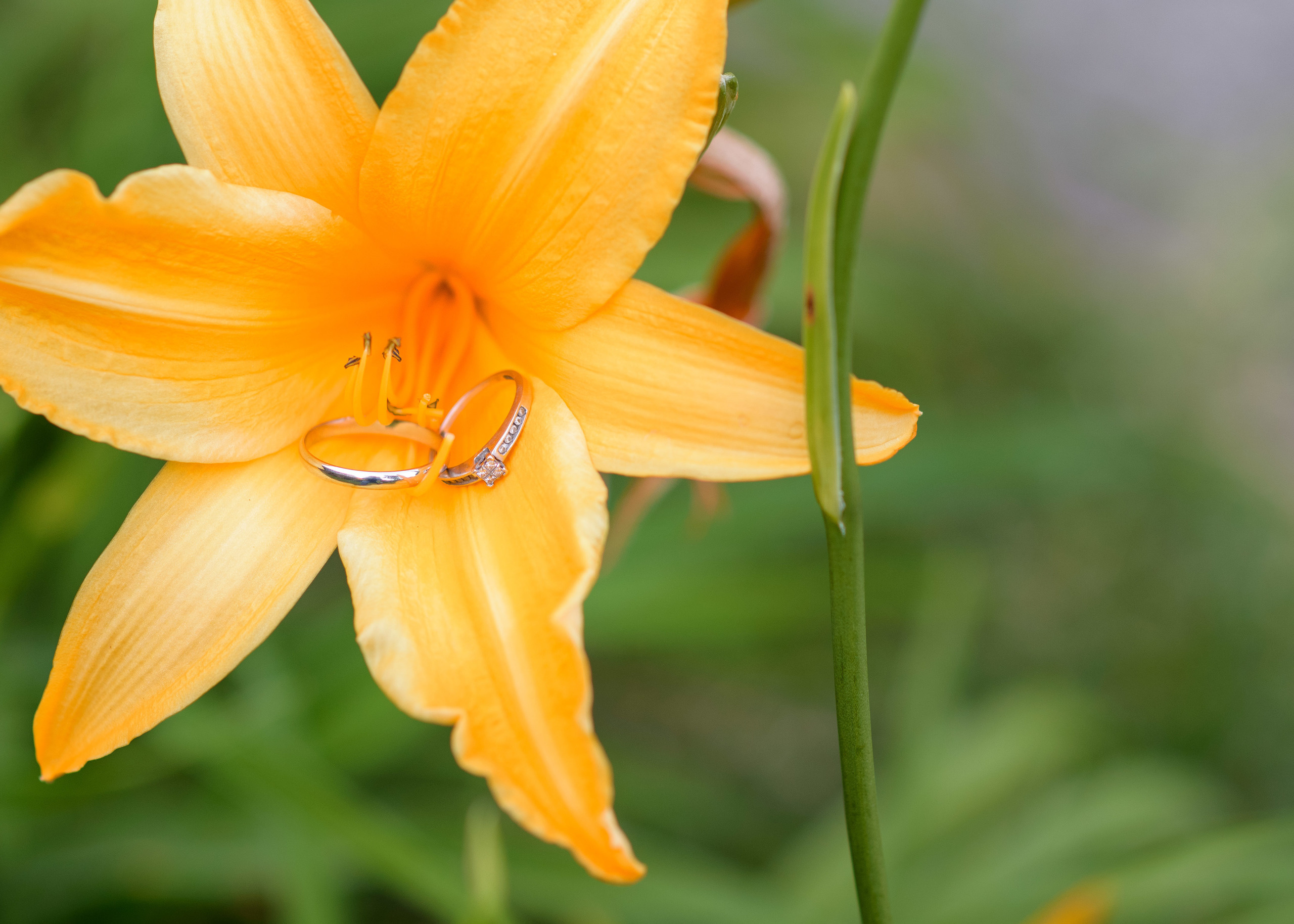 Belen & Jaime. Fotógrafo familiar, retratos. Panamá, Chiriqui. Ruslán Rusakóv