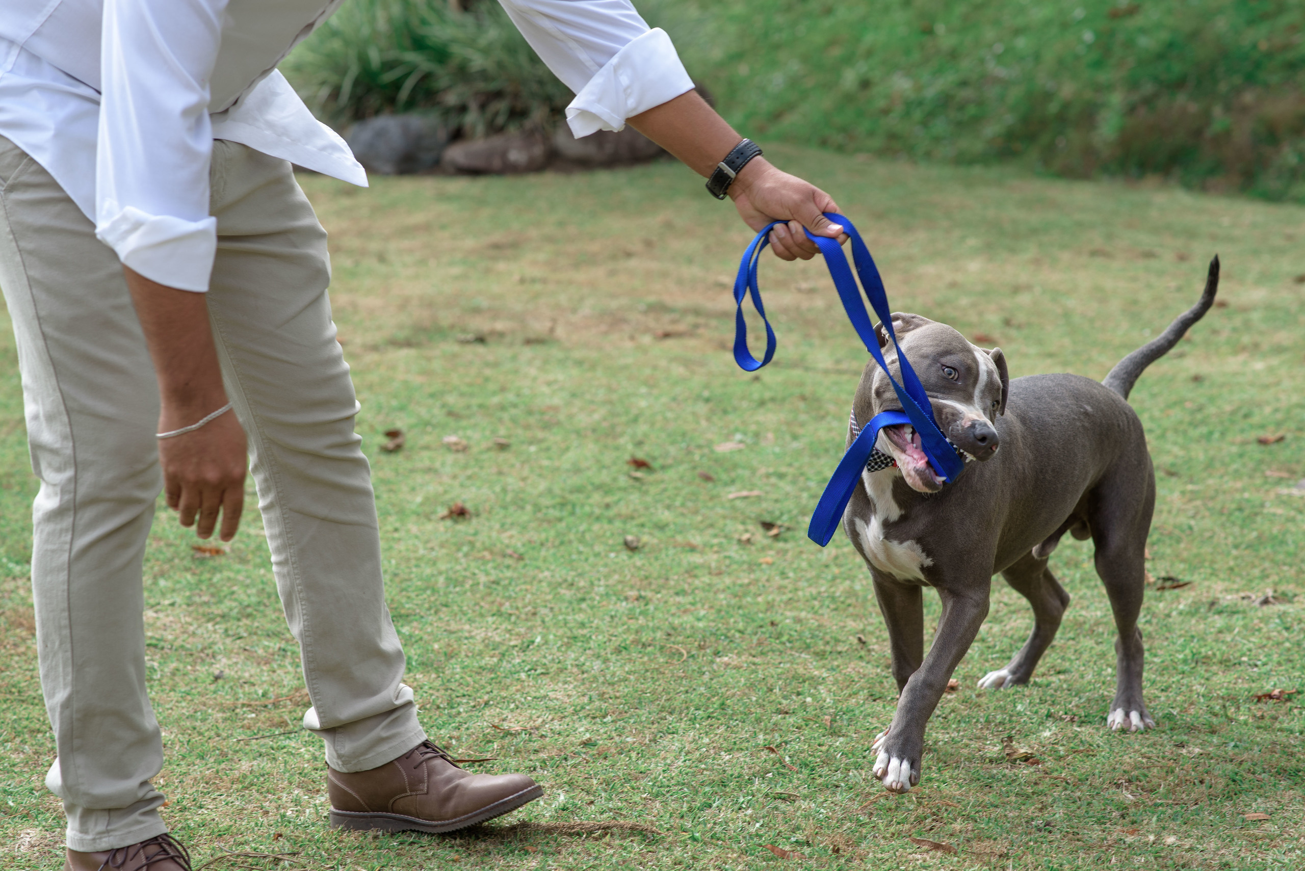 Jesus & Dennise. Fotógrafo familiar, retratos. Panamá, Chiriqui. Ruslán Rusakóv
