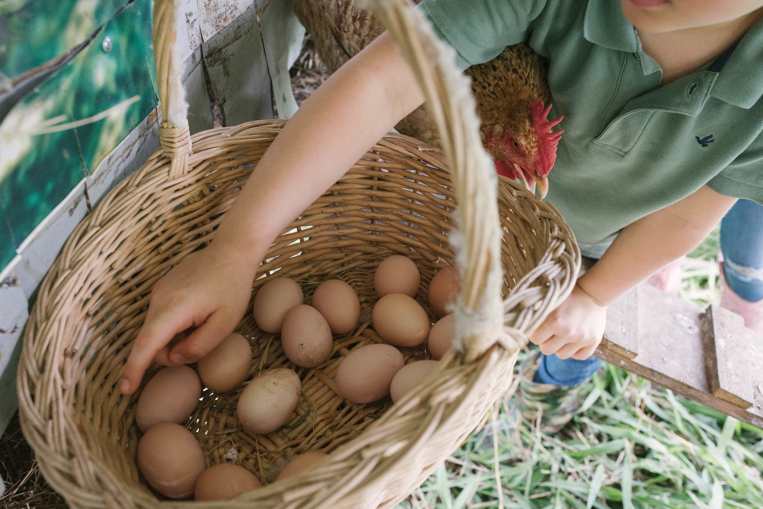 Hermosa familia en el campo. Fotógrafo familiar, retratos. Panamá, Chiriqui. Ruslán Rusakóv
