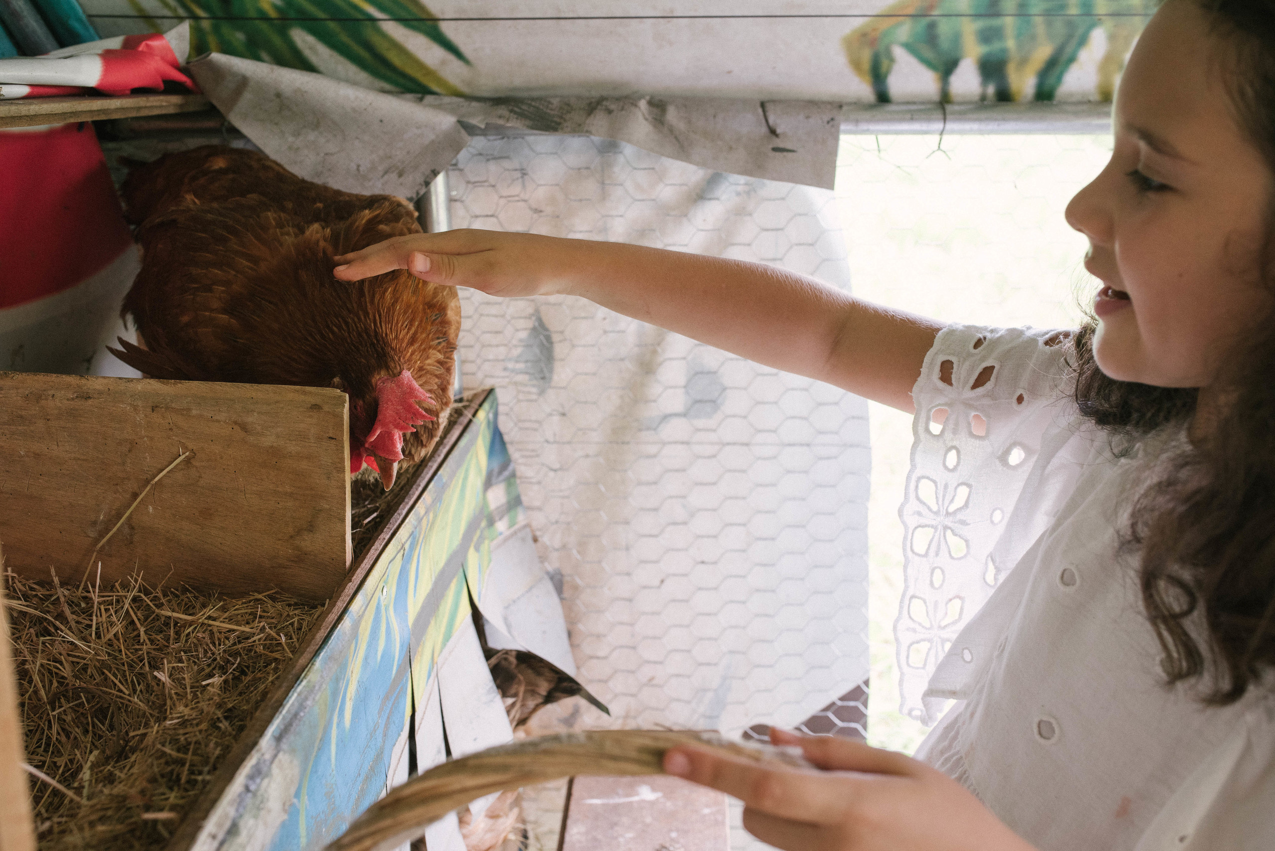 Hermosa familia en el campo. Fotógrafo familiar, retratos. Panamá, Chiriqui. Ruslán Rusakóv