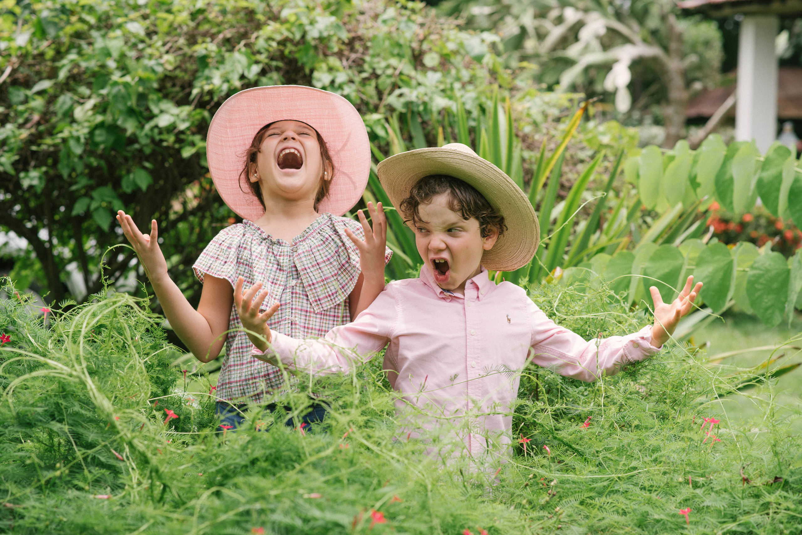 Hermosa familia en el campo. Fotógrafo familiar, retratos. Panamá, Chiriqui. Ruslán Rusakóv