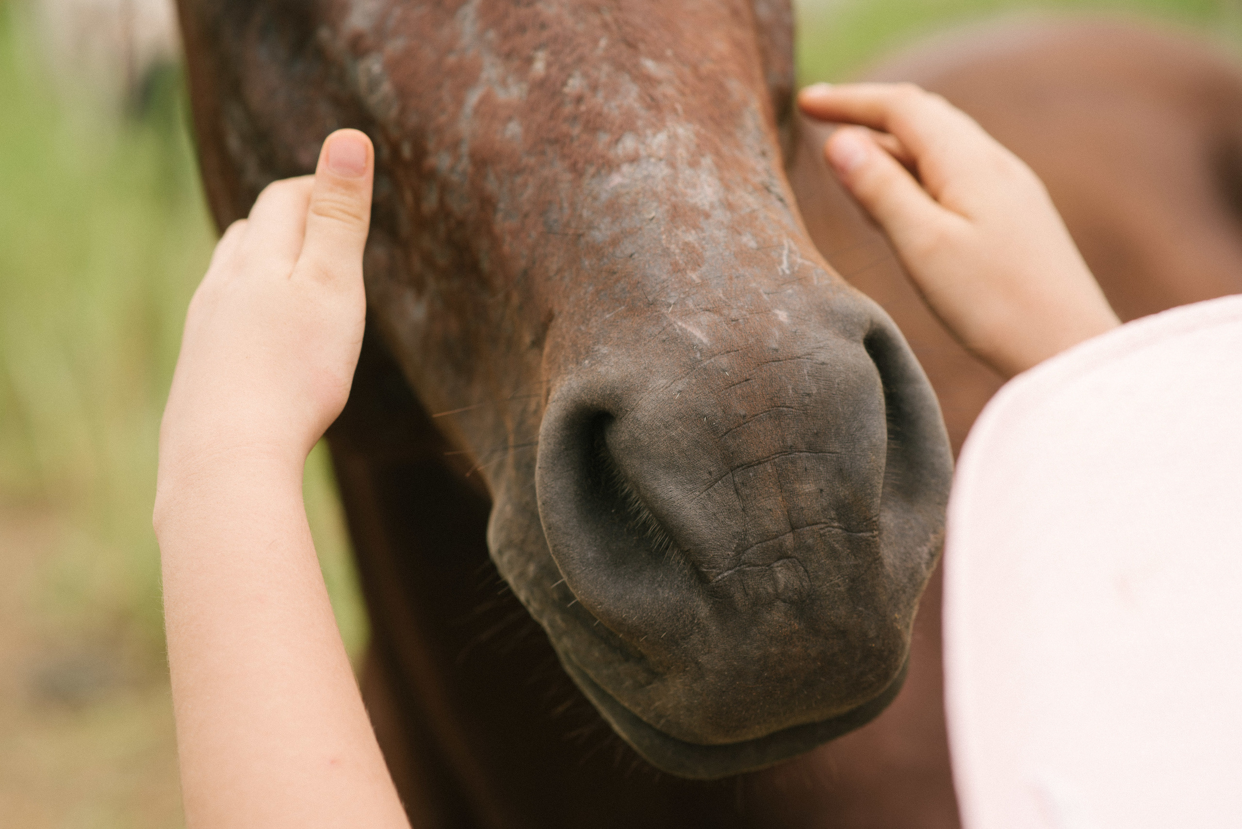 Hermosa familia en el campo. Fotógrafo familiar, retratos. Panamá, Chiriqui. Ruslán Rusakóv
