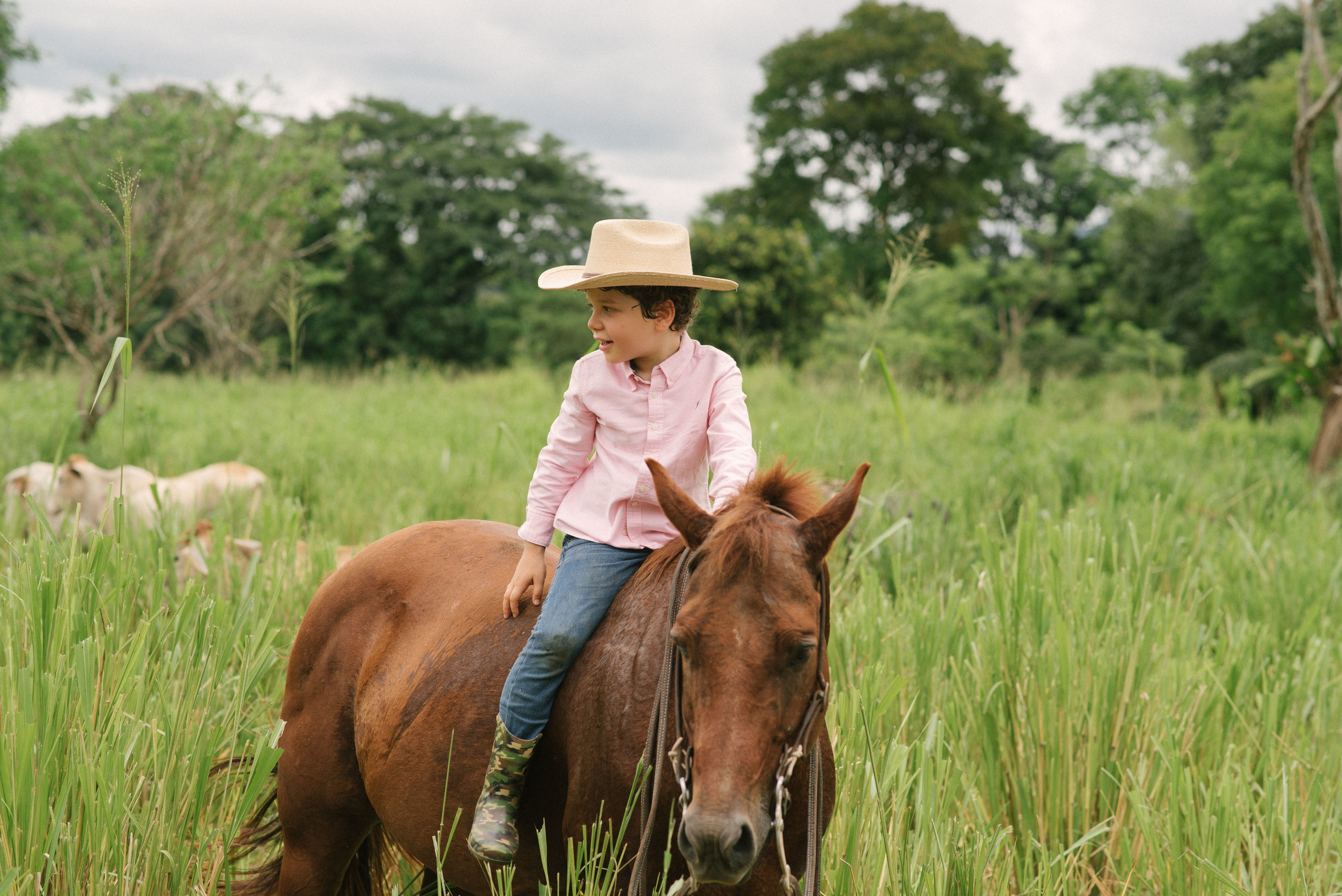 Hermosa familia en el campo. Fotógrafo familiar, retratos. Panamá, Chiriqui. Ruslán Rusakóv