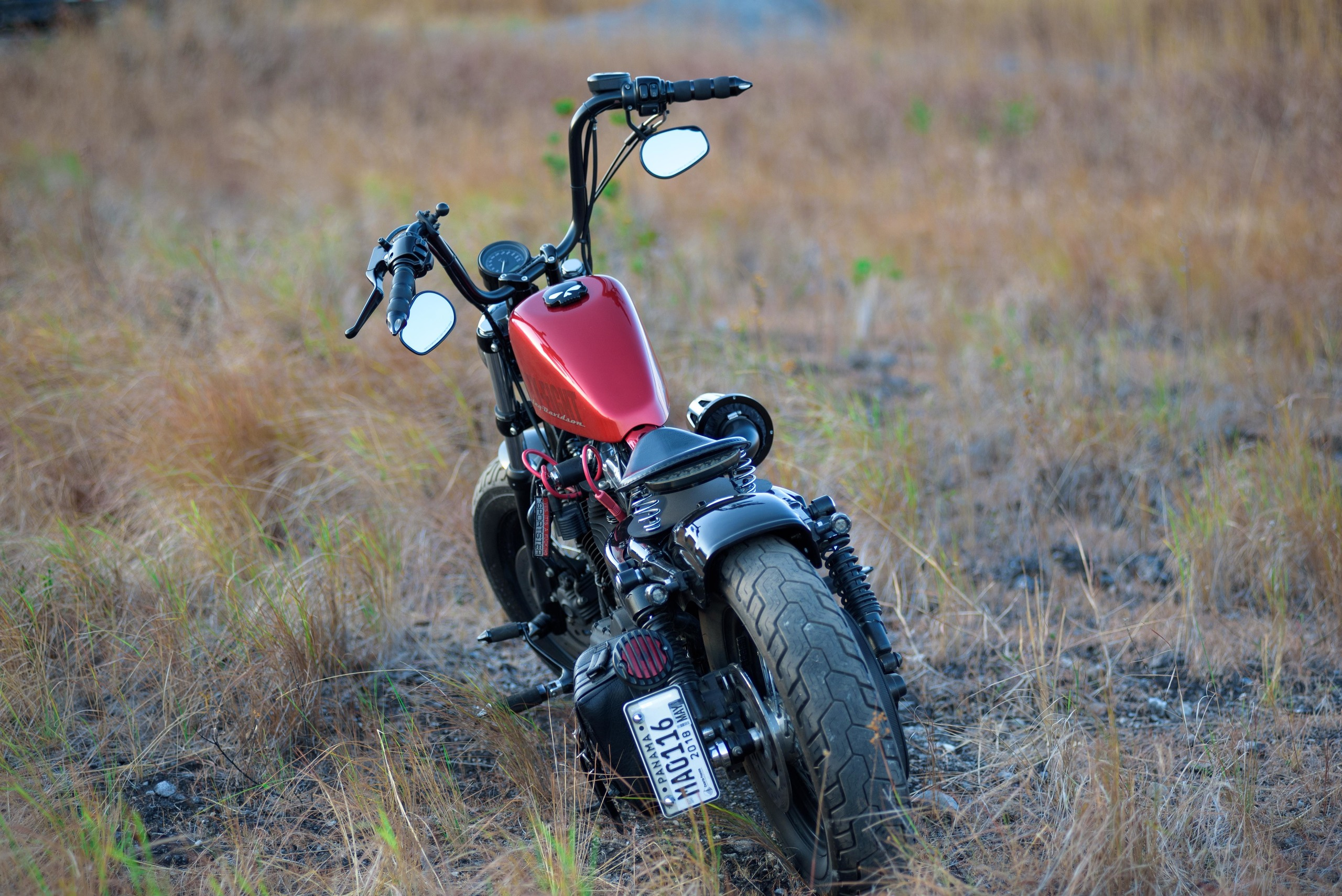 Luis & Katherine. Fotógrafo familiar, retratos. Panamá, Chiriqui. Ruslán Rusakóv