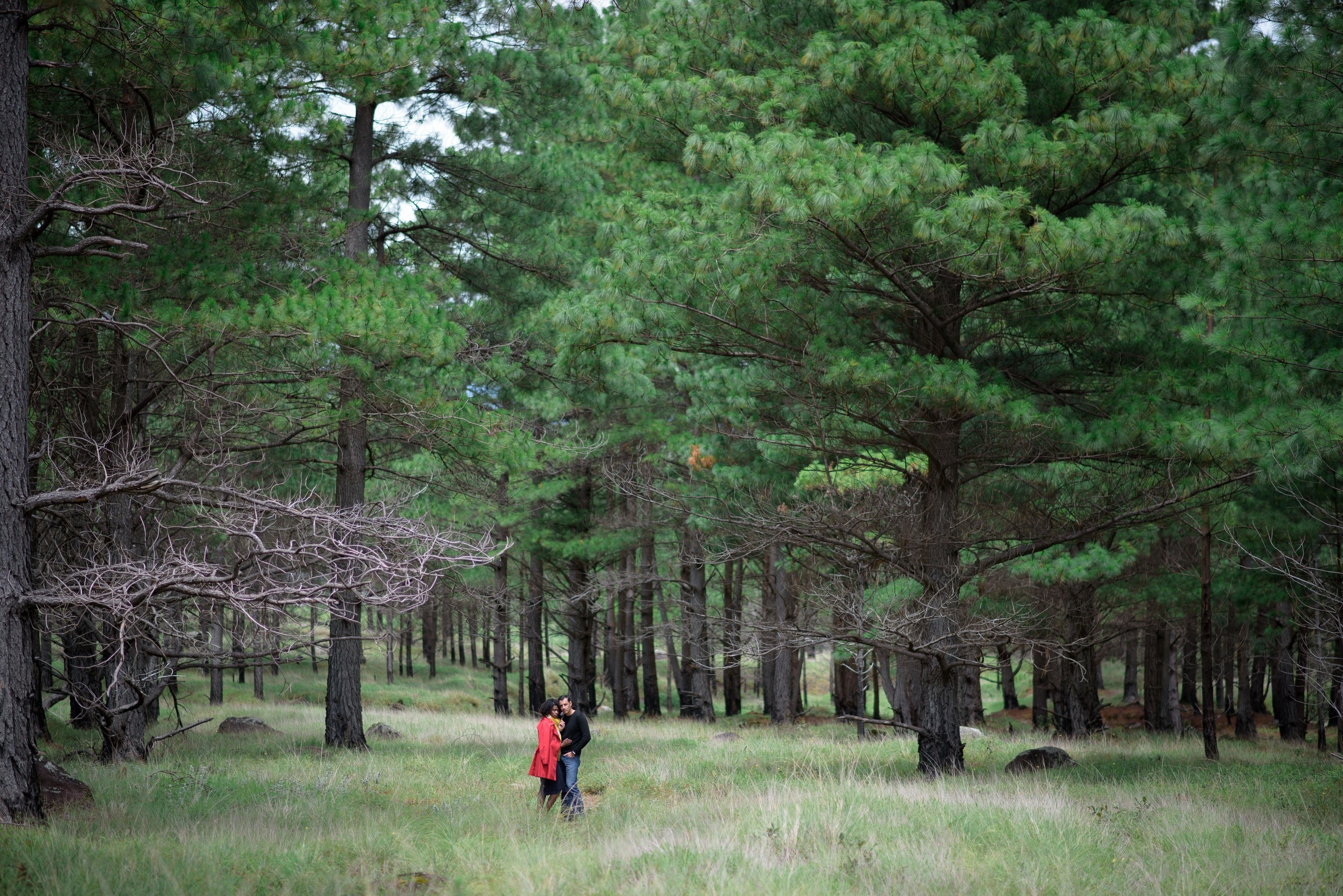 Love story en las faldas de volcán Barú. Fotógrafo familiar, retratos. Panamá, Chiriqui. Ruslán Rusakóv