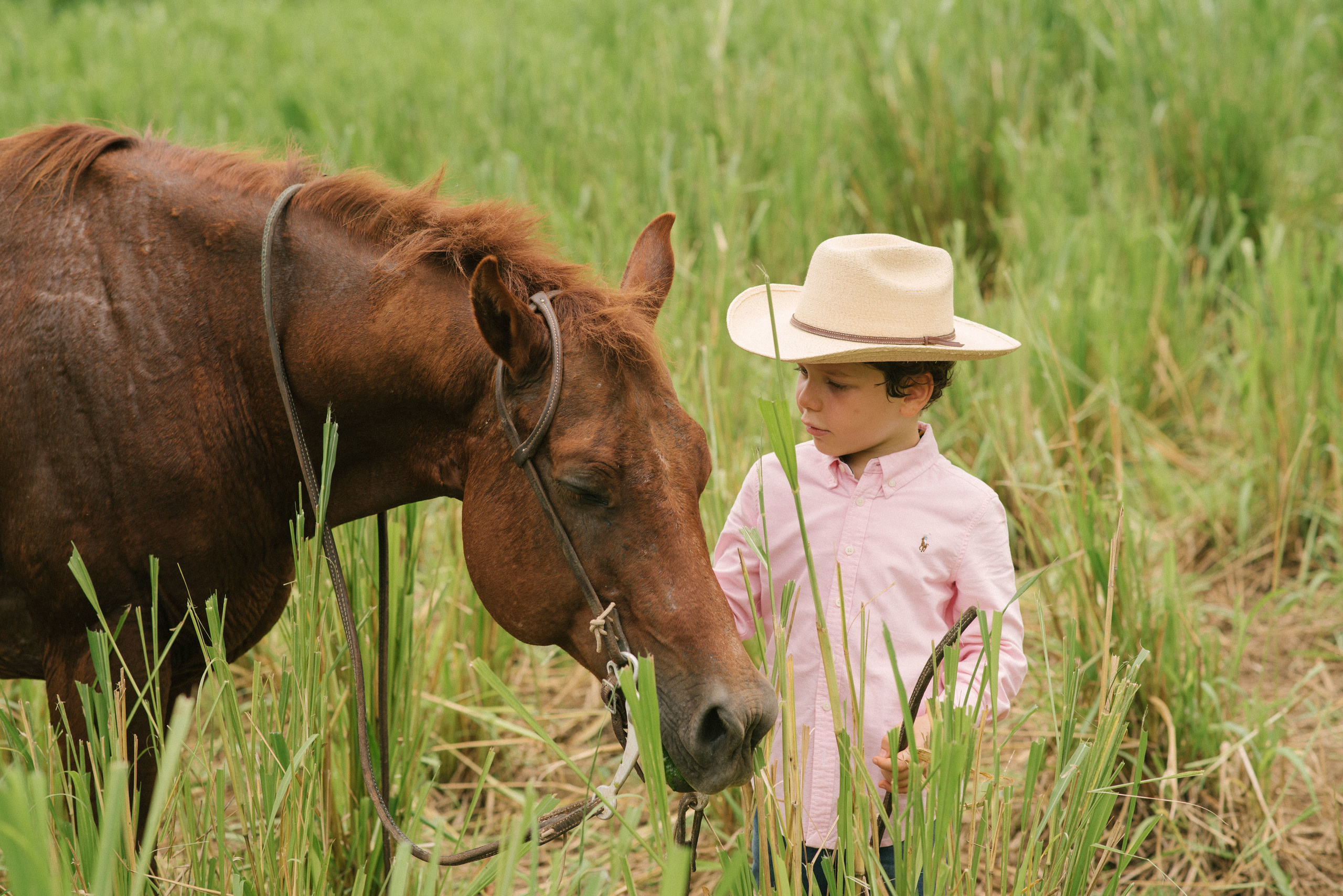 Hermosa familia en el campo. Fotógrafo familiar, retratos. Panamá, Chiriqui. Ruslán Rusakóv