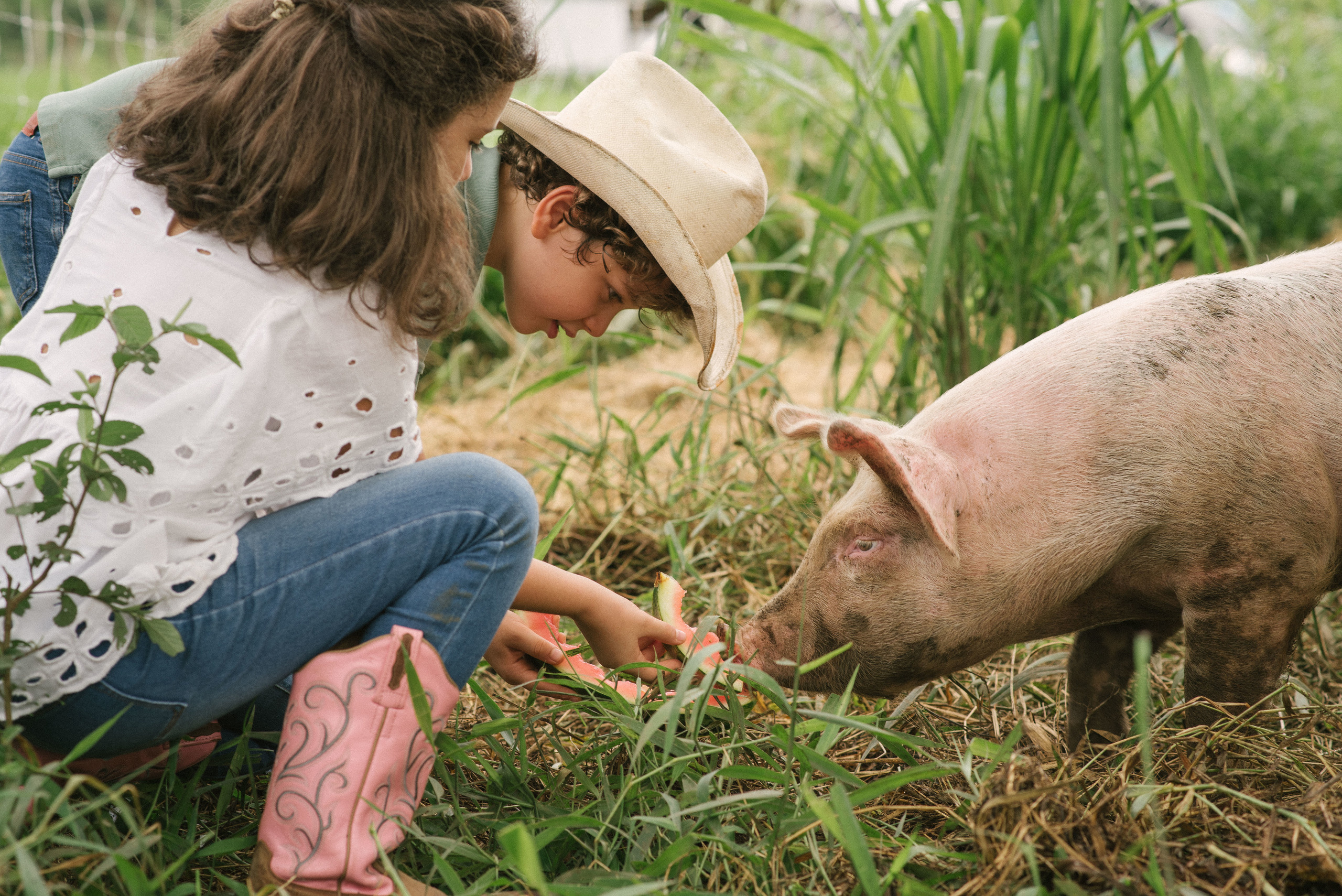 Hermosa familia en el campo. Fotógrafo familiar, retratos. Panamá, Chiriqui. Ruslán Rusakóv