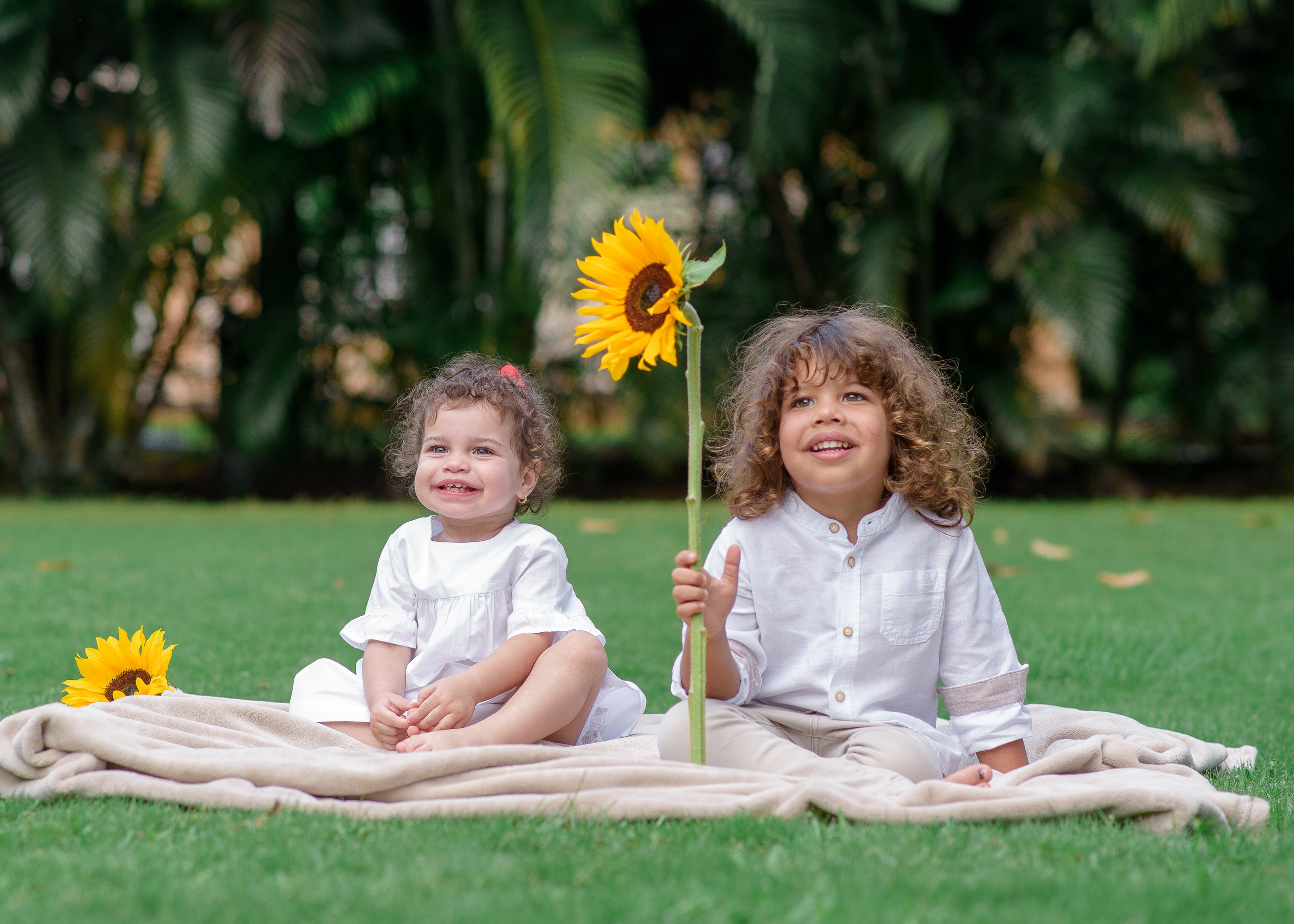 Arkel & Adriana. Fotógrafo familiar, retratos. Panamá, Chiriqui. Ruslán Rusakóv