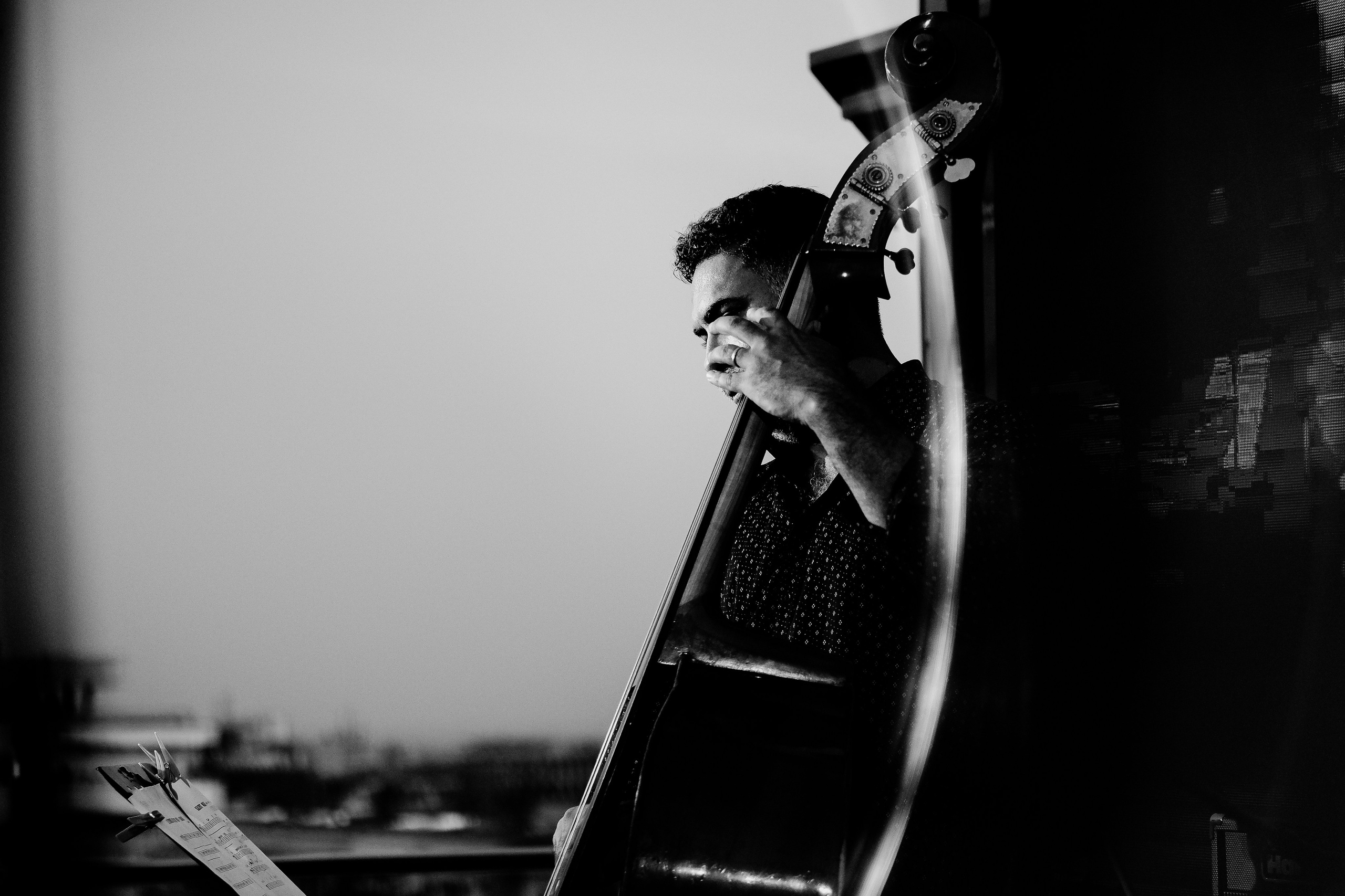 Razvan Cojanu. Hornetart