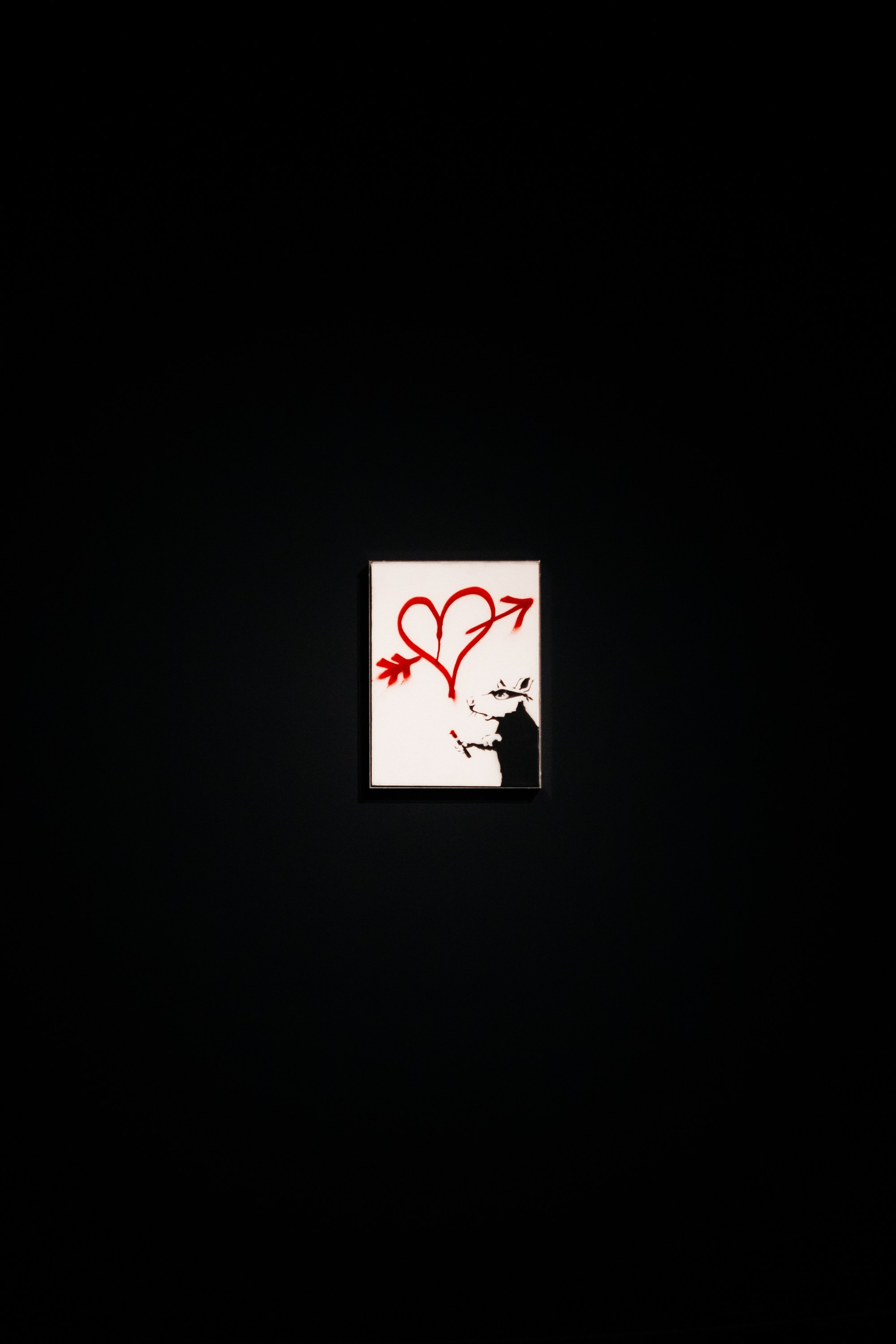 Выставка Бэнкси в Тбилиси | Фоторепортаж и экспонаты Banksy