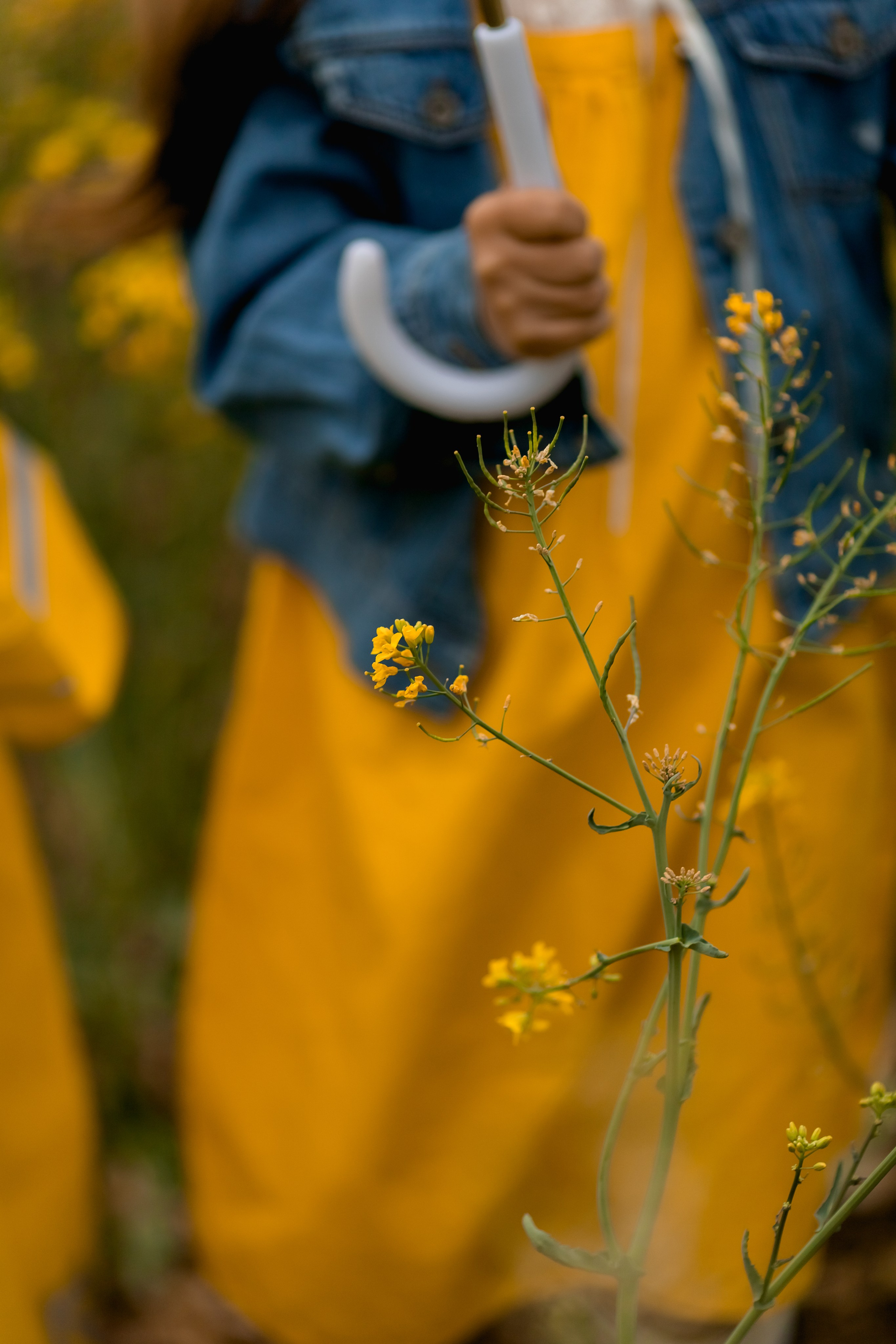 Фотосесия в Рапица. Фотограф Ирина Йотова