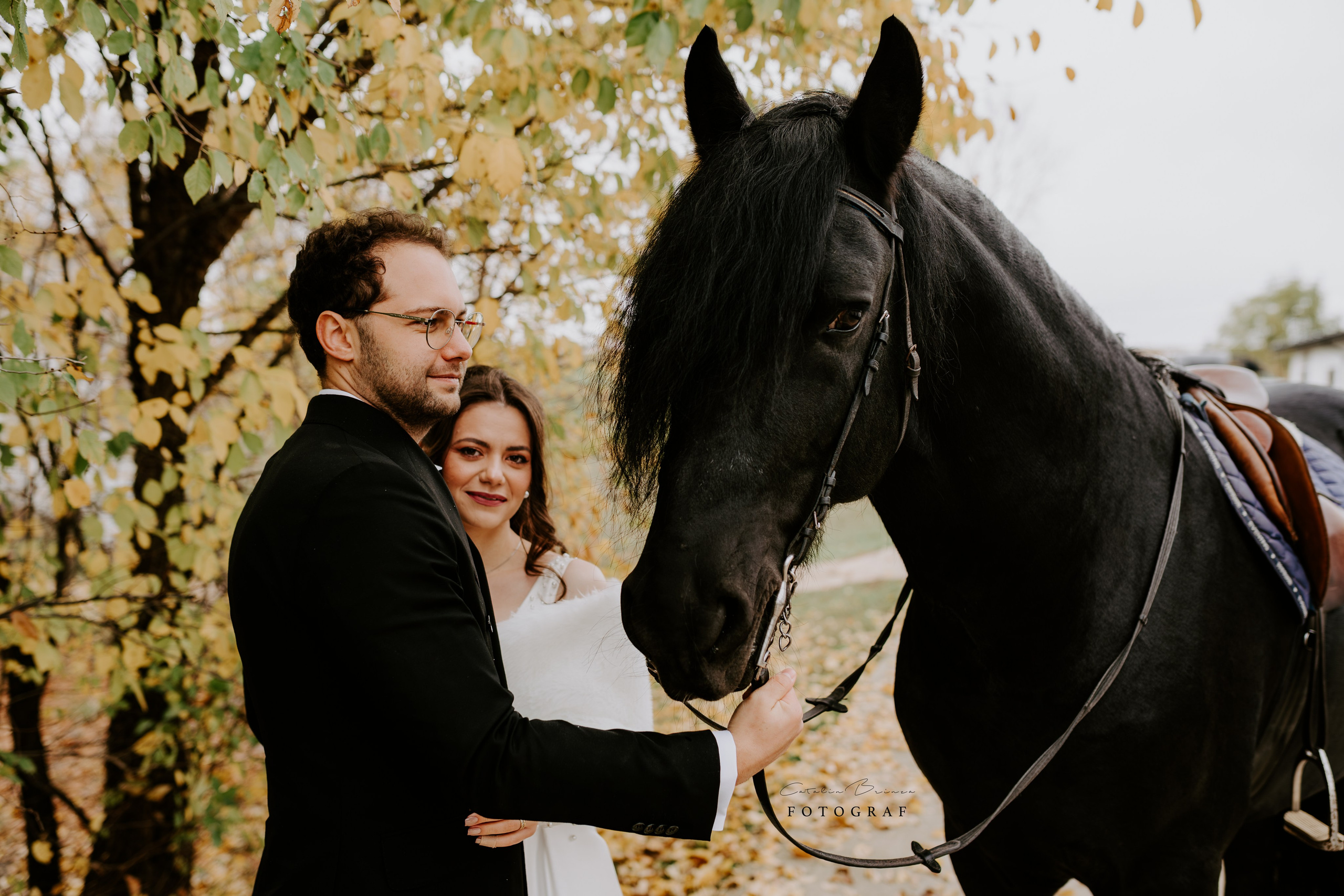 TTD — Ioana&Stefan. Catalin Brinza