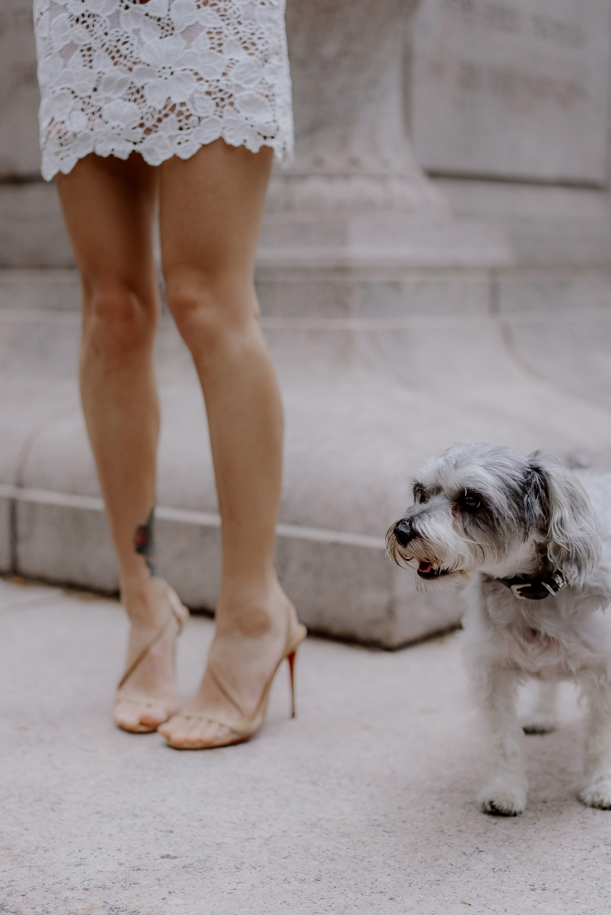 Love in the city. Videographer and photographer in New York // MAKAROV.VIDEO