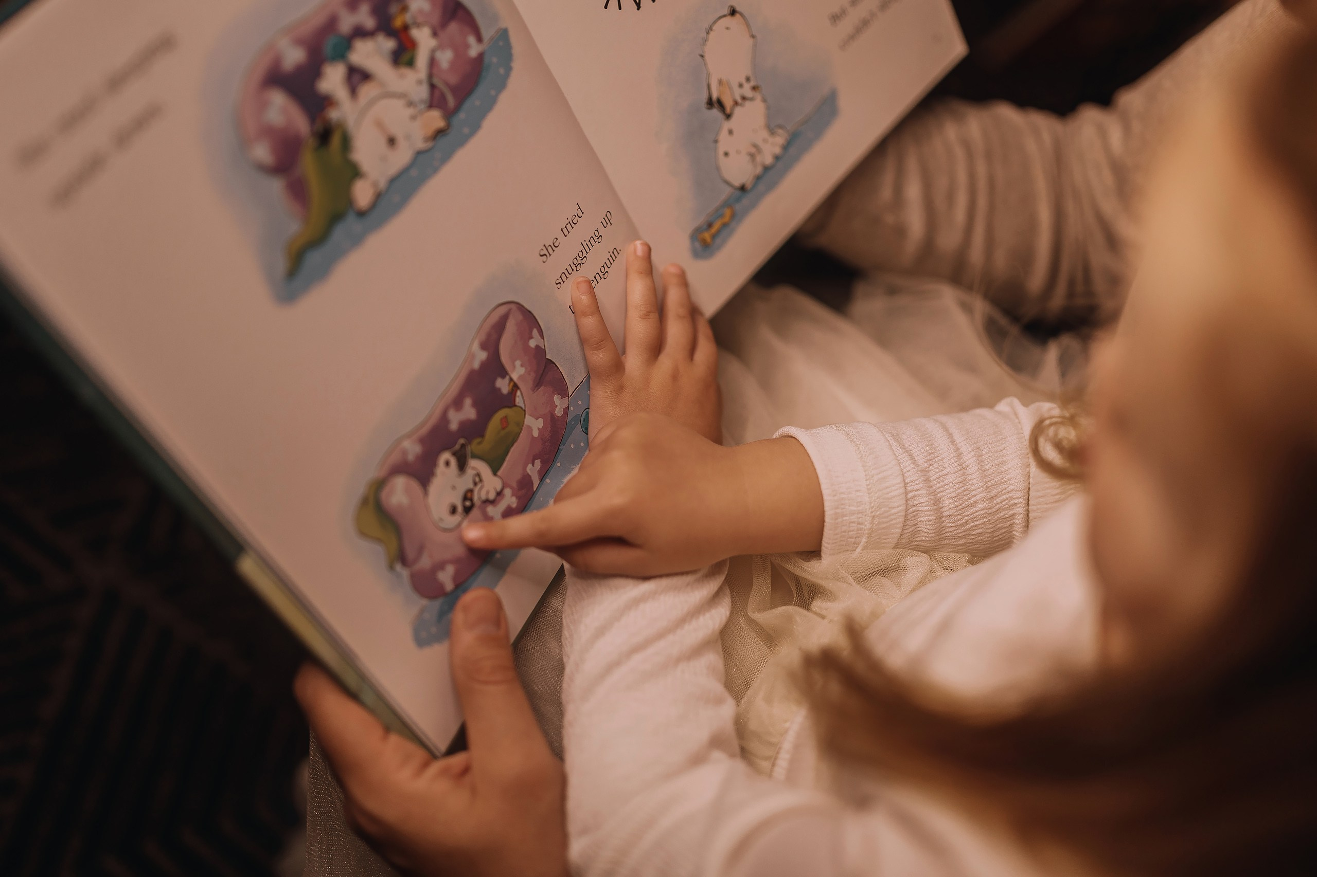 25.11.2023 Christmas Photoshoot. Wedding family event photographer in Chicago Nick Yushevich