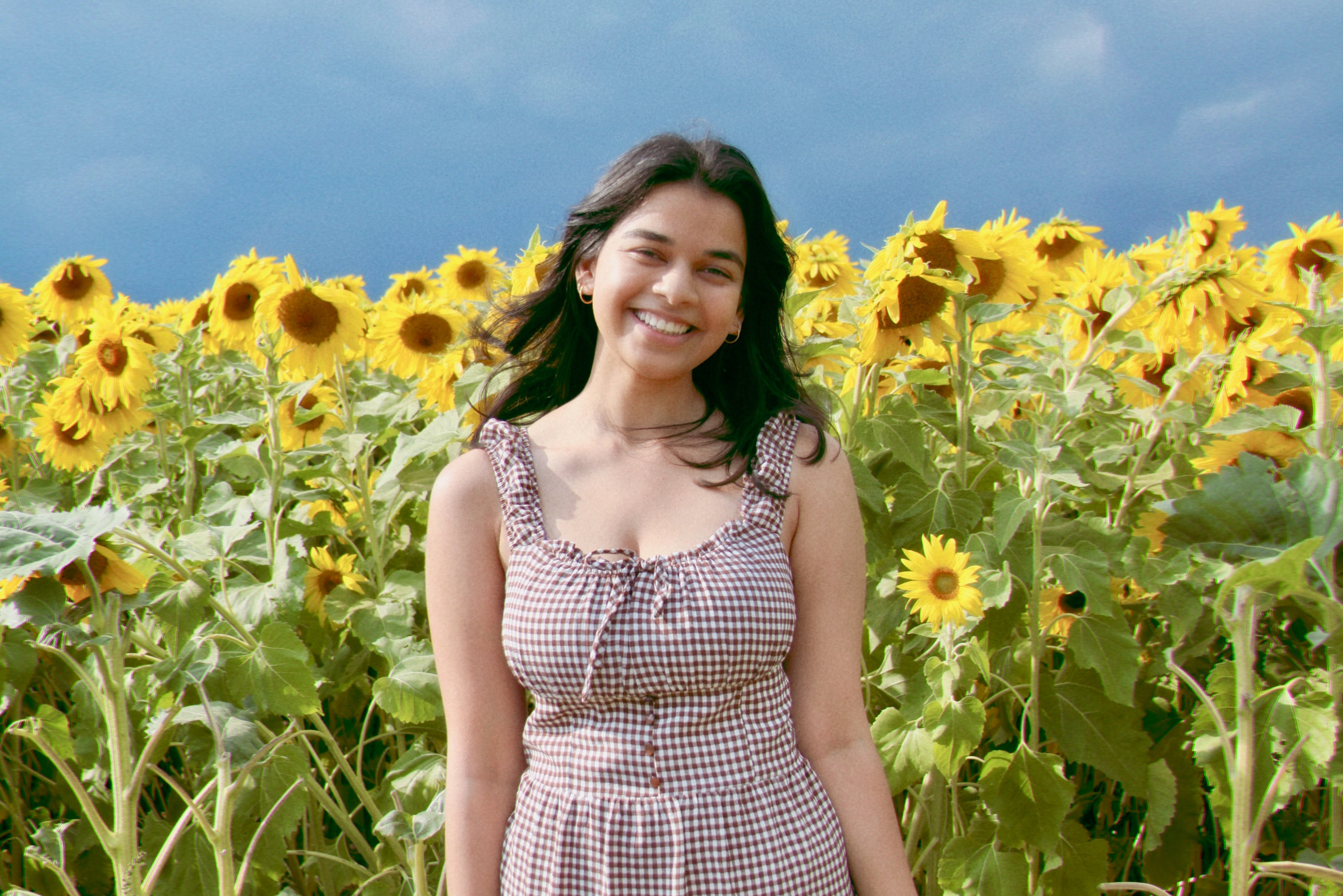 Sunflower farm shoot with Annie. Kelly Sang, graduation and portrait photographer in Boston