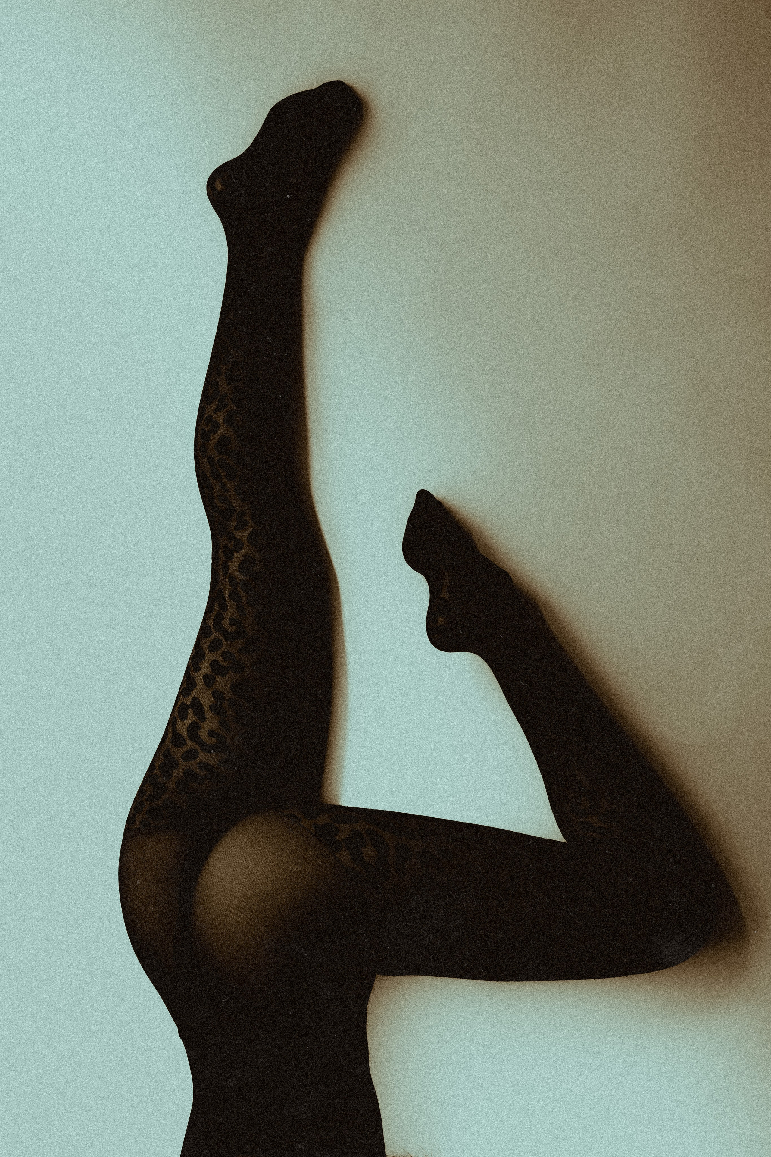 PHOTOSHOOTS. Hi, welcome!