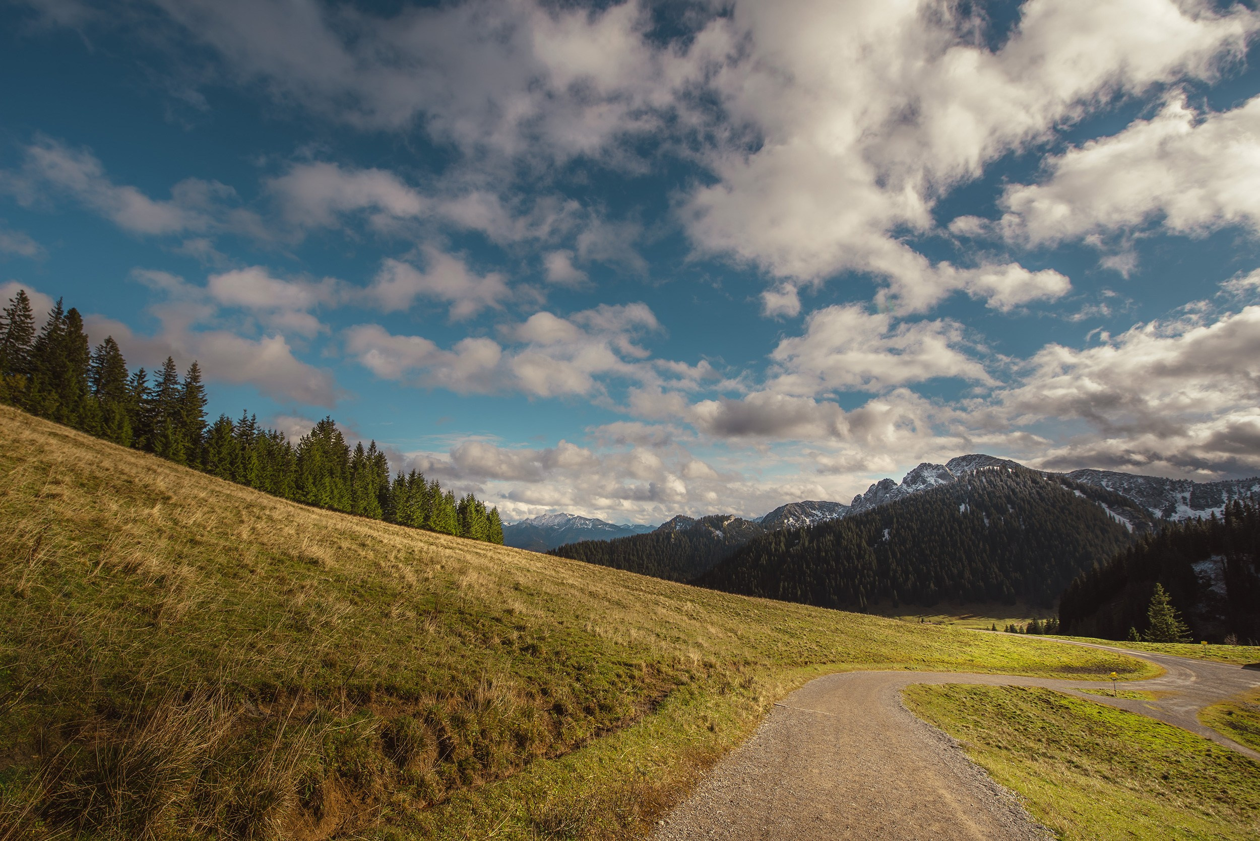 A gravel hiking road winding through the green meadows of Mount Wallberg.