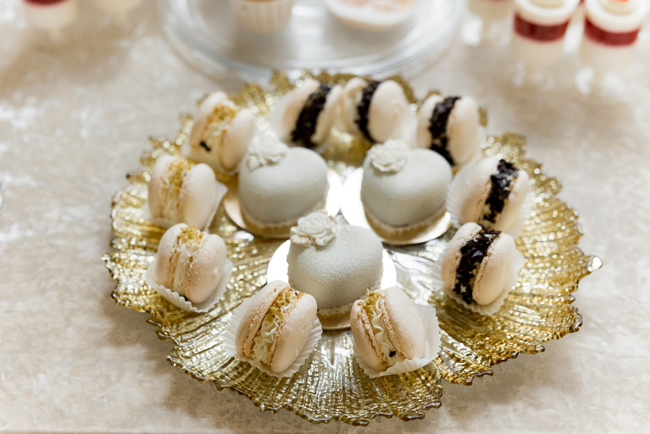 Anna Dmytro. Ірина Терещук