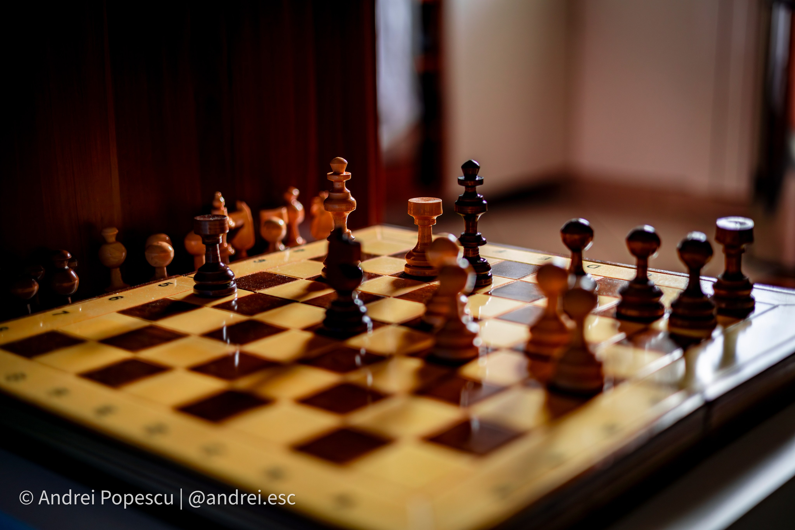 Andrei Popescu Photography