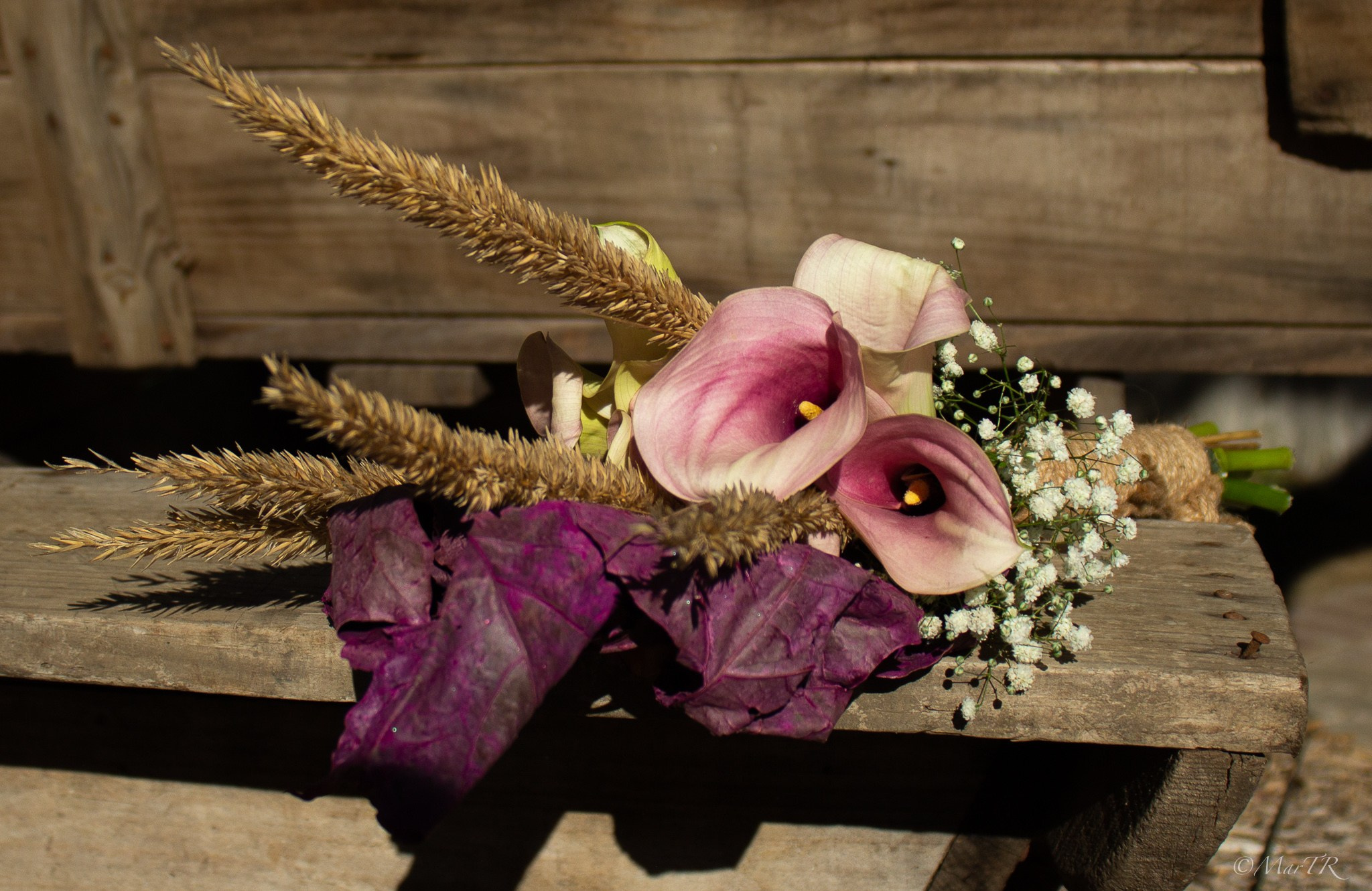 Bodas. Fotos con huella, fotografía de perros y mascotas en Sevilla