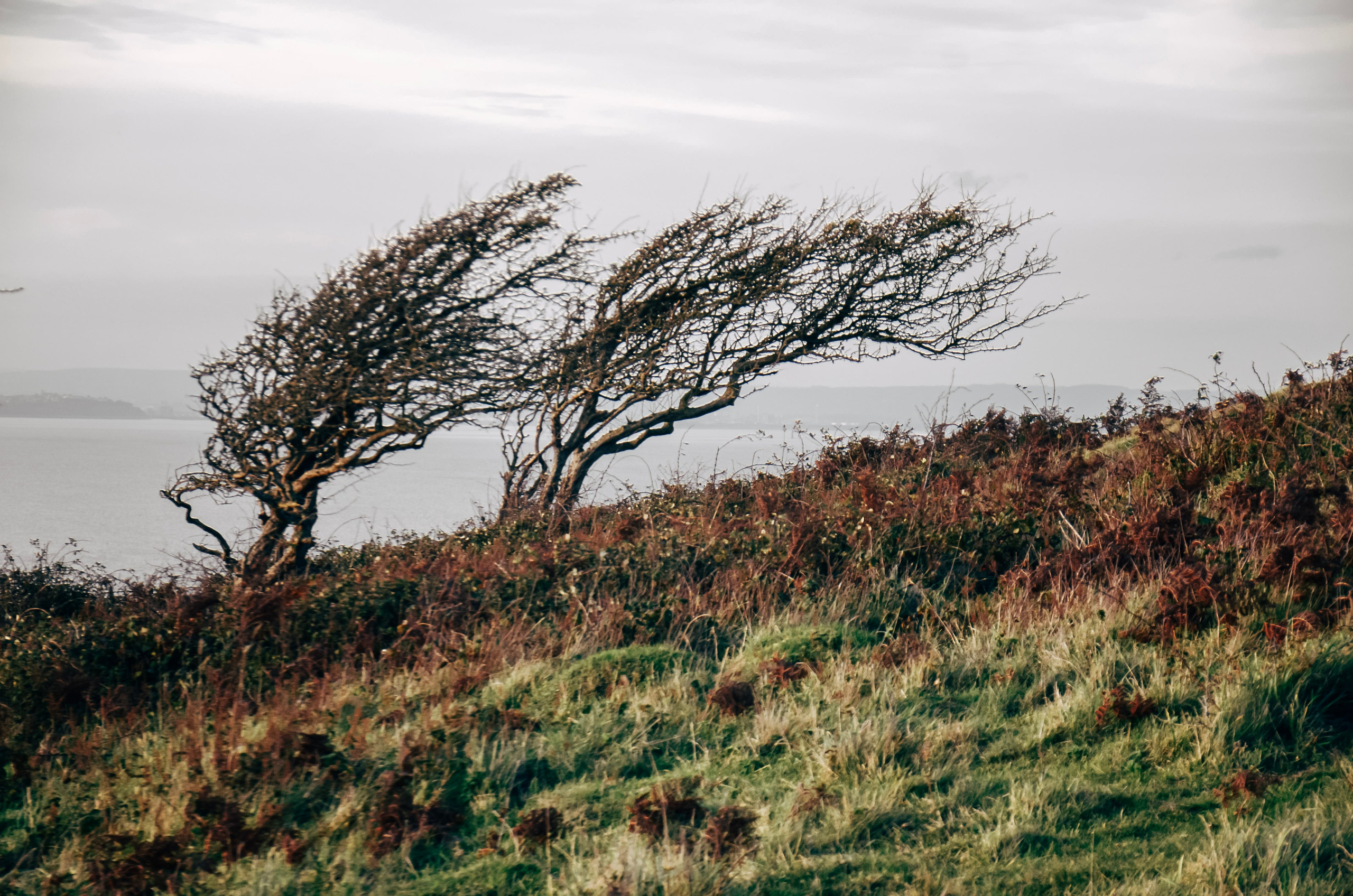 Creative personal photo session by Irina Zoteeva. Irina Zoteeva — Portrait, Brand & Family Photographer in Solihull